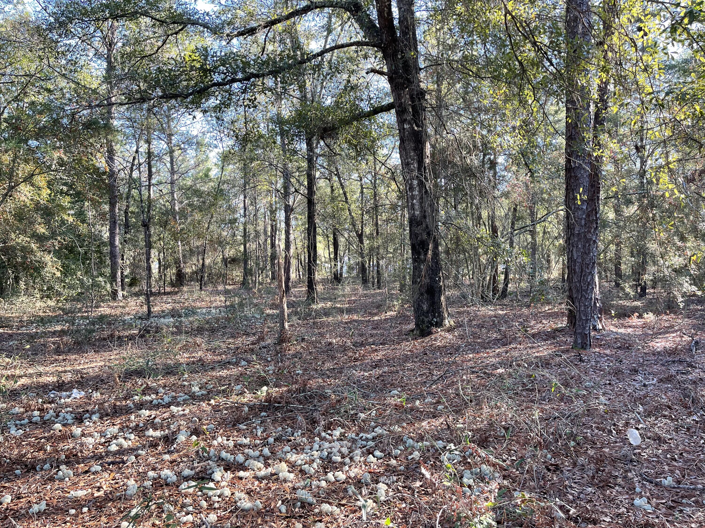 OAKWOOD HILLS UNIT 5 - Land