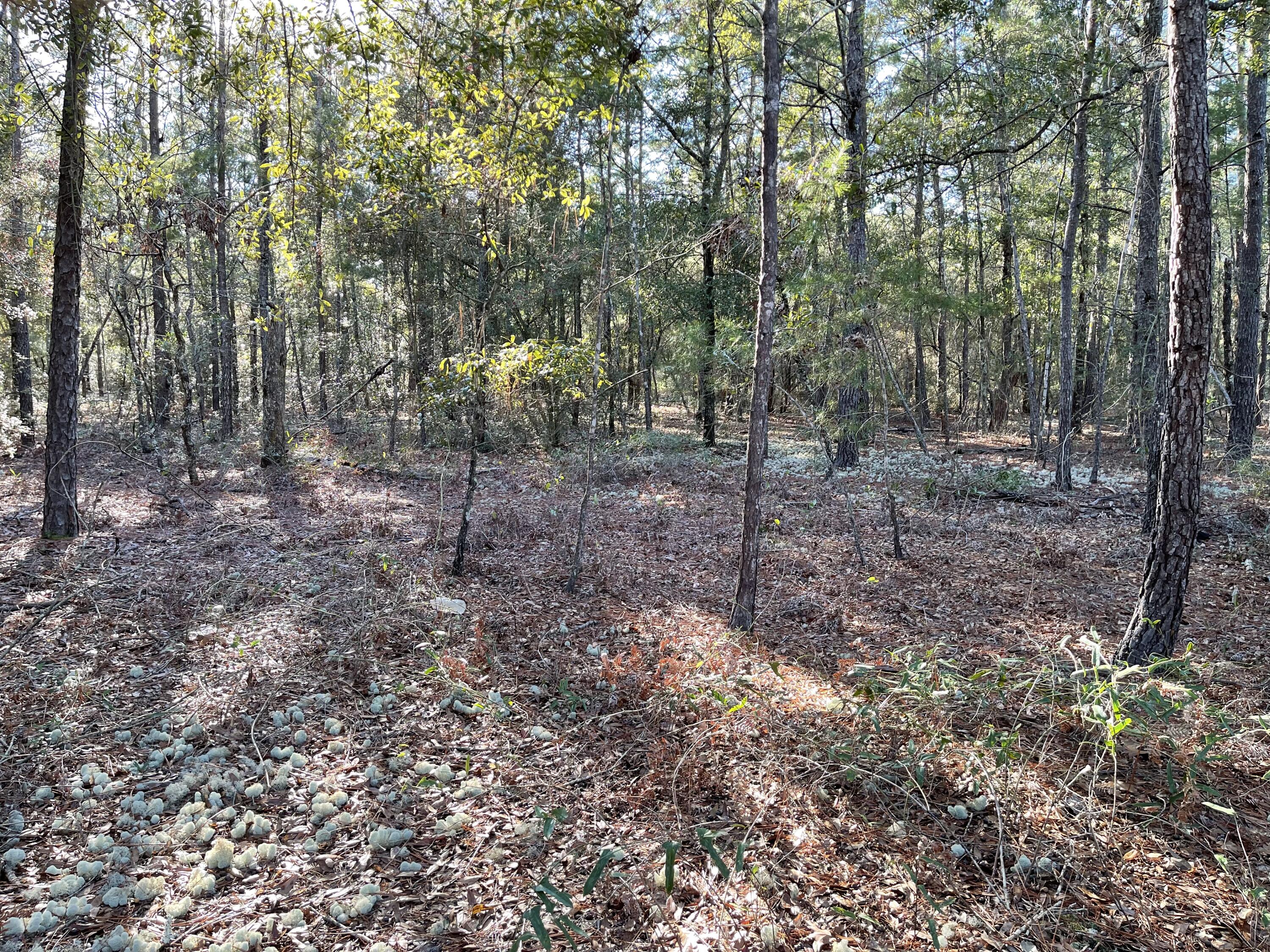 OAKWOOD HILLS UNIT 5 - Land
