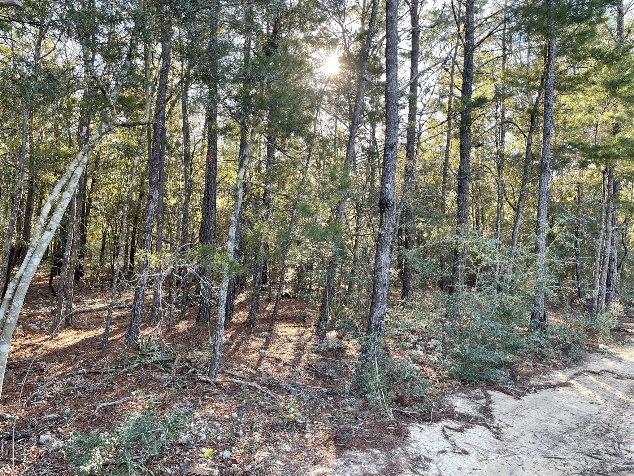 OAKWOOD HILLS UNIT 5 - Land
