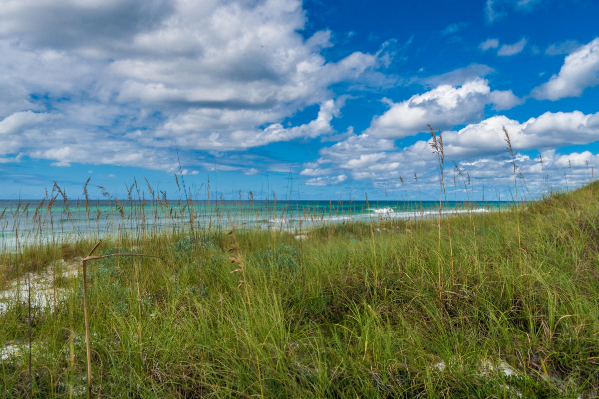 Lot 5 Waterview at Inlet Beach - Residential Lease