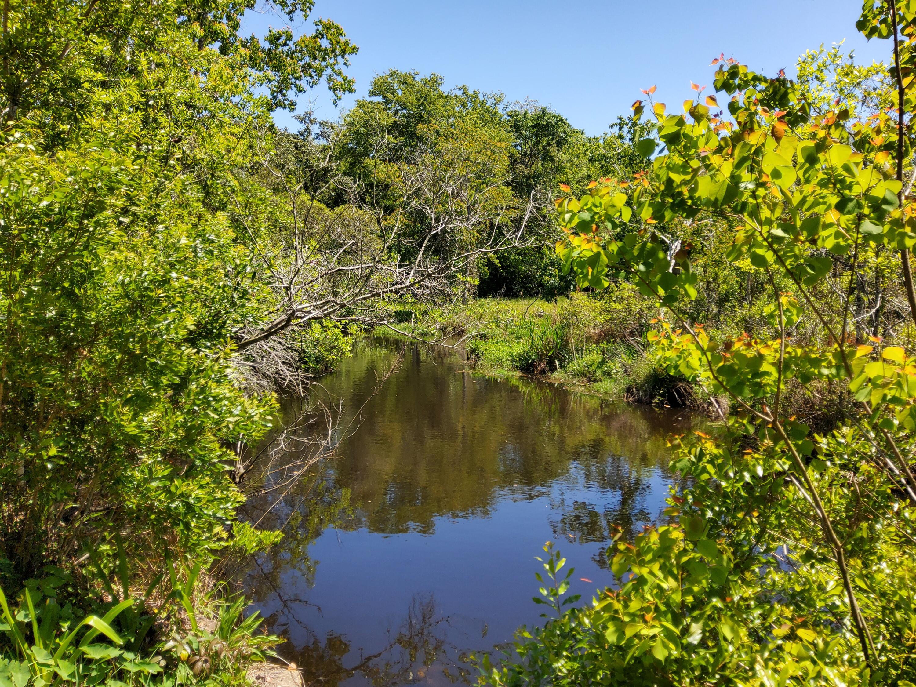 OVERBROOK - Residential