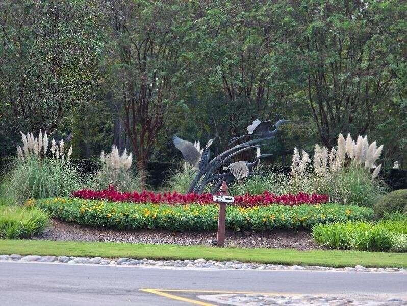 WILD HERON PHASE XIV - Land