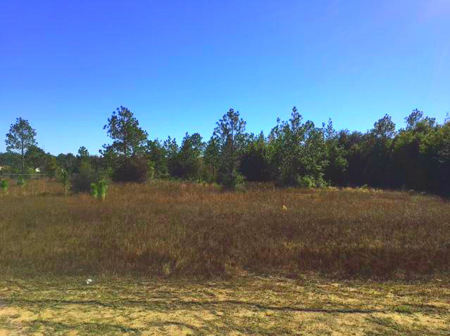 Hickory Hammock - Land