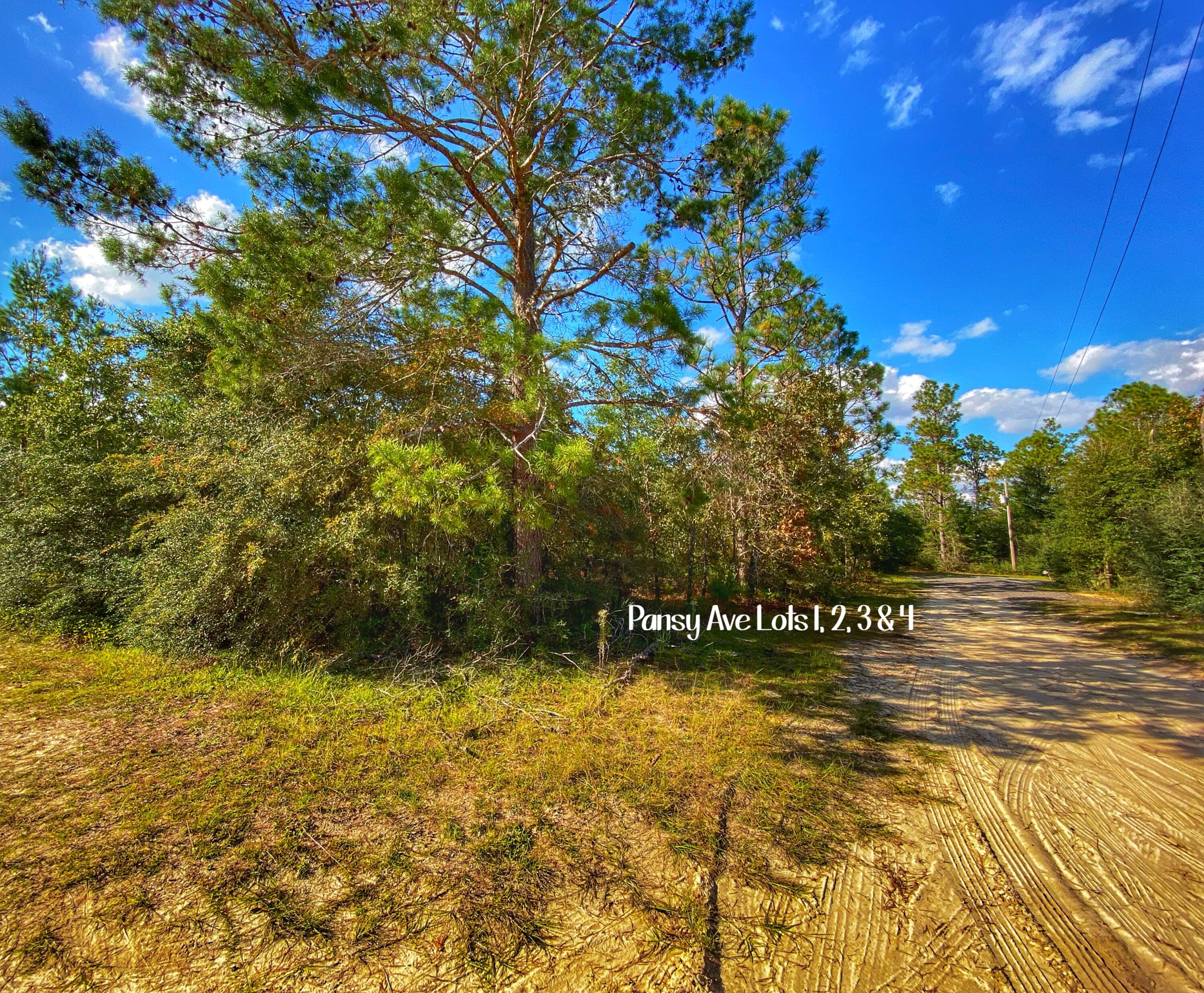 OAKWOOD HILLS UNIT 1 - Land