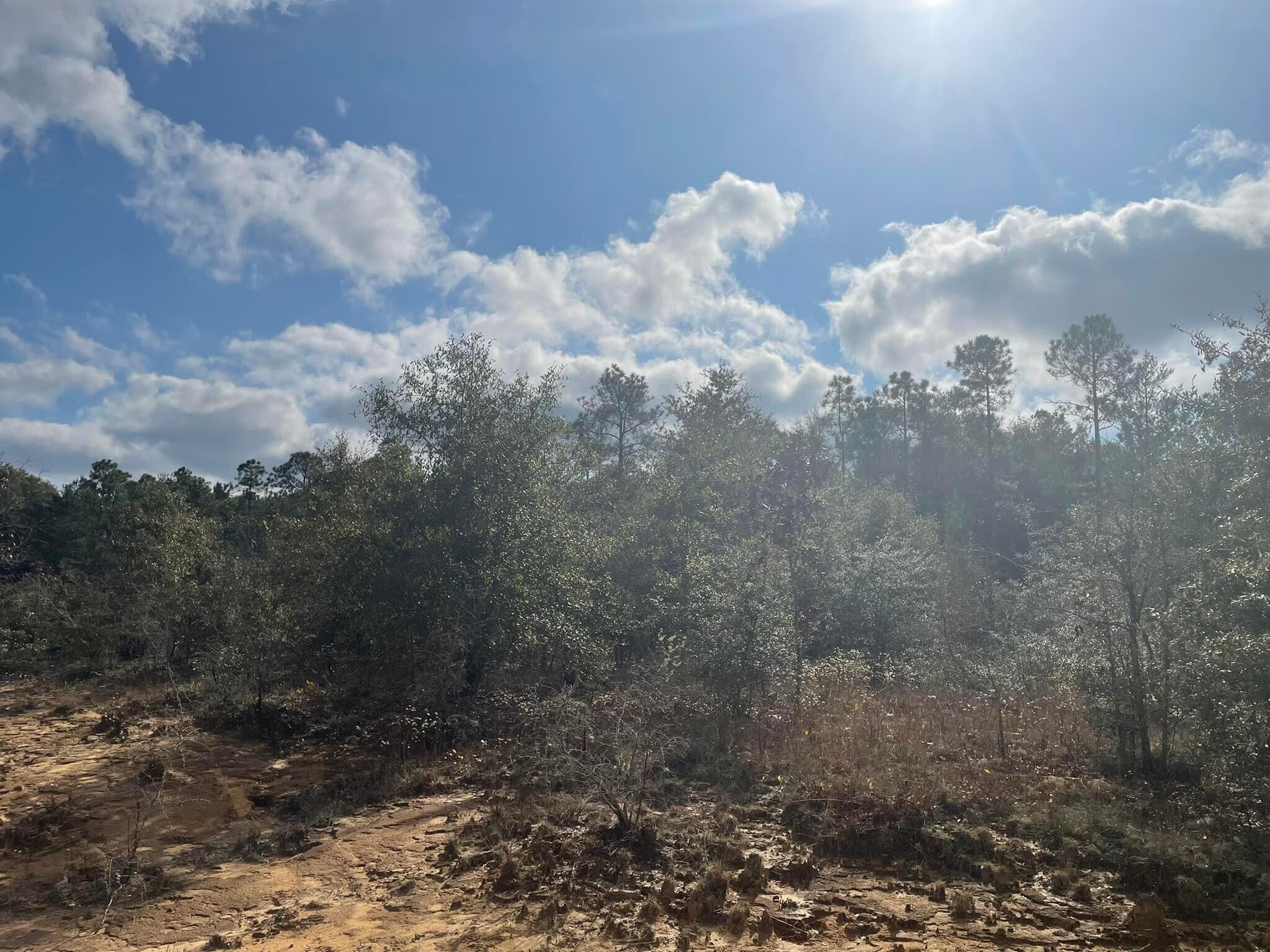TRIPLE LAKES ESTATES - Land