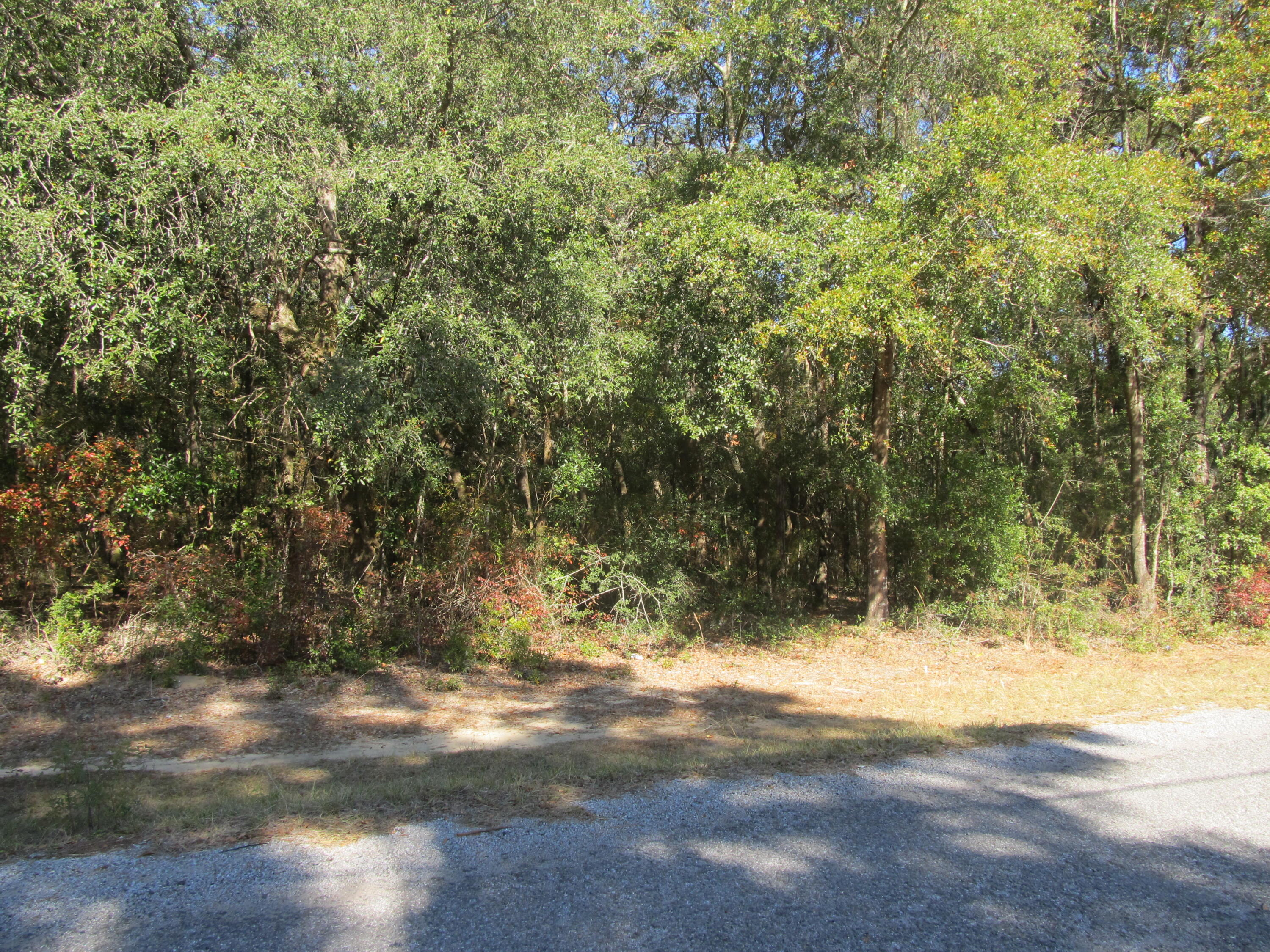 LAKEWOOD PLANTATIONS - Land