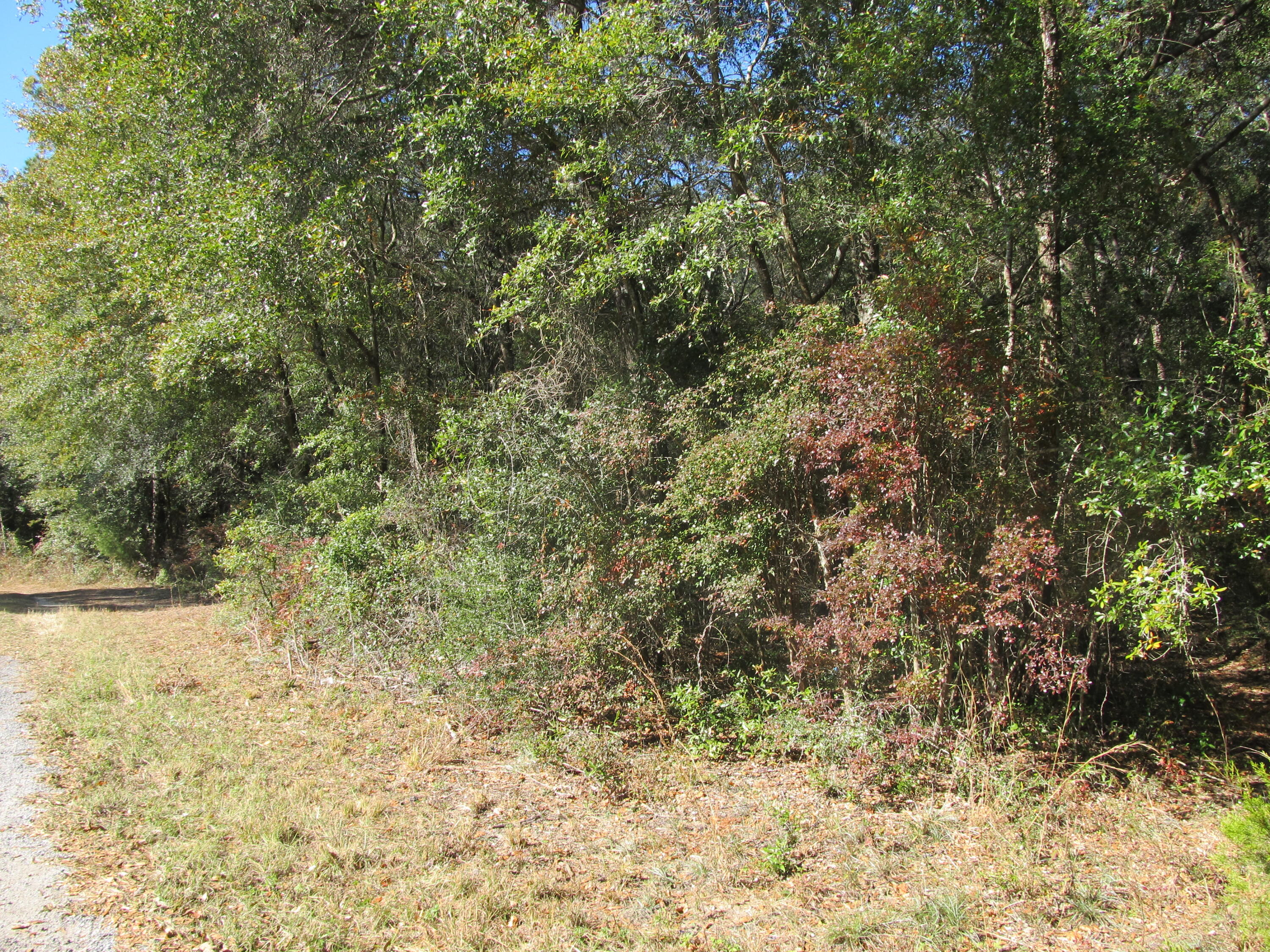 LAKEWOOD PLANTATIONS - Land