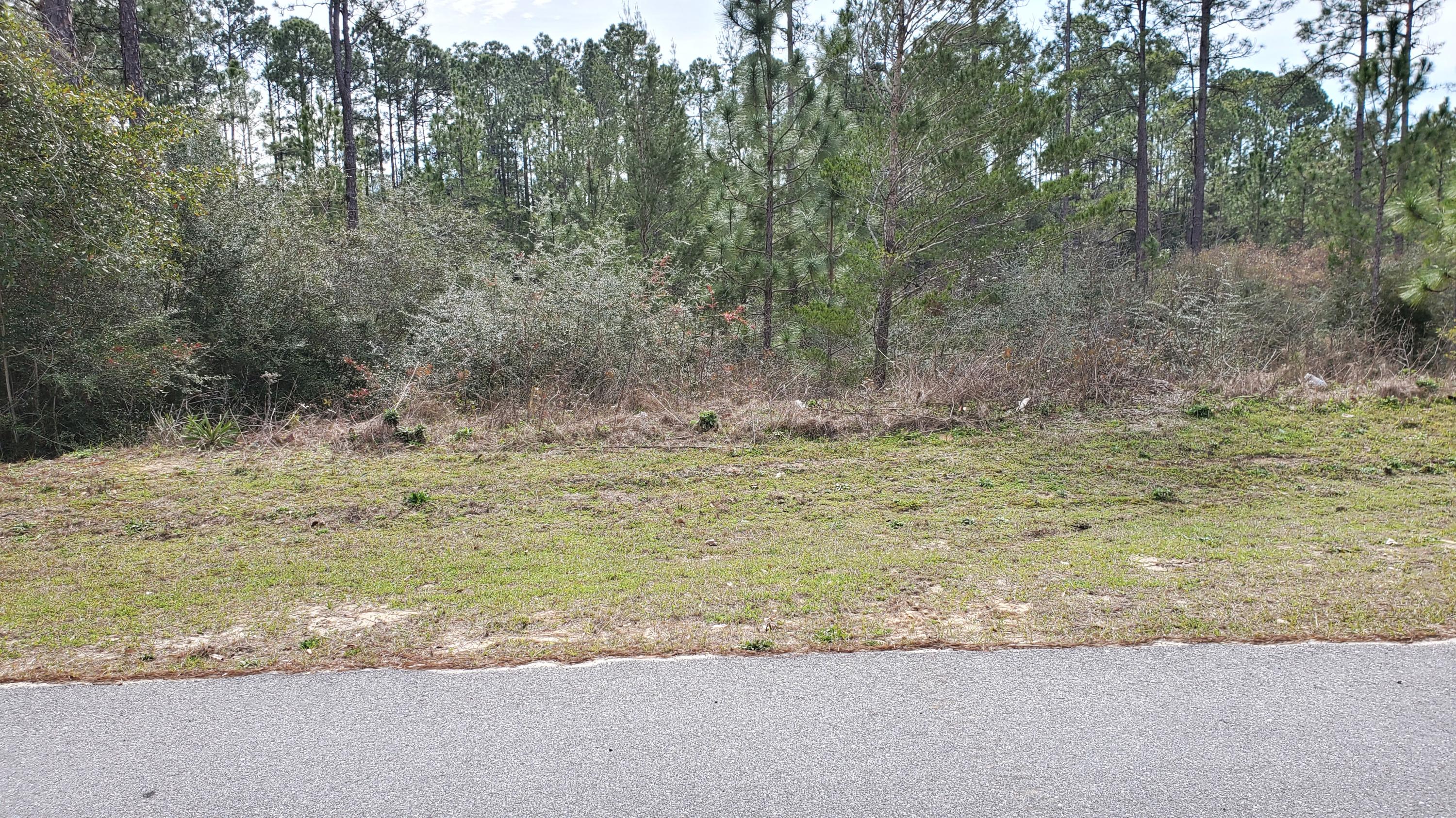 TRIPLE LAKES ESTATES - Land