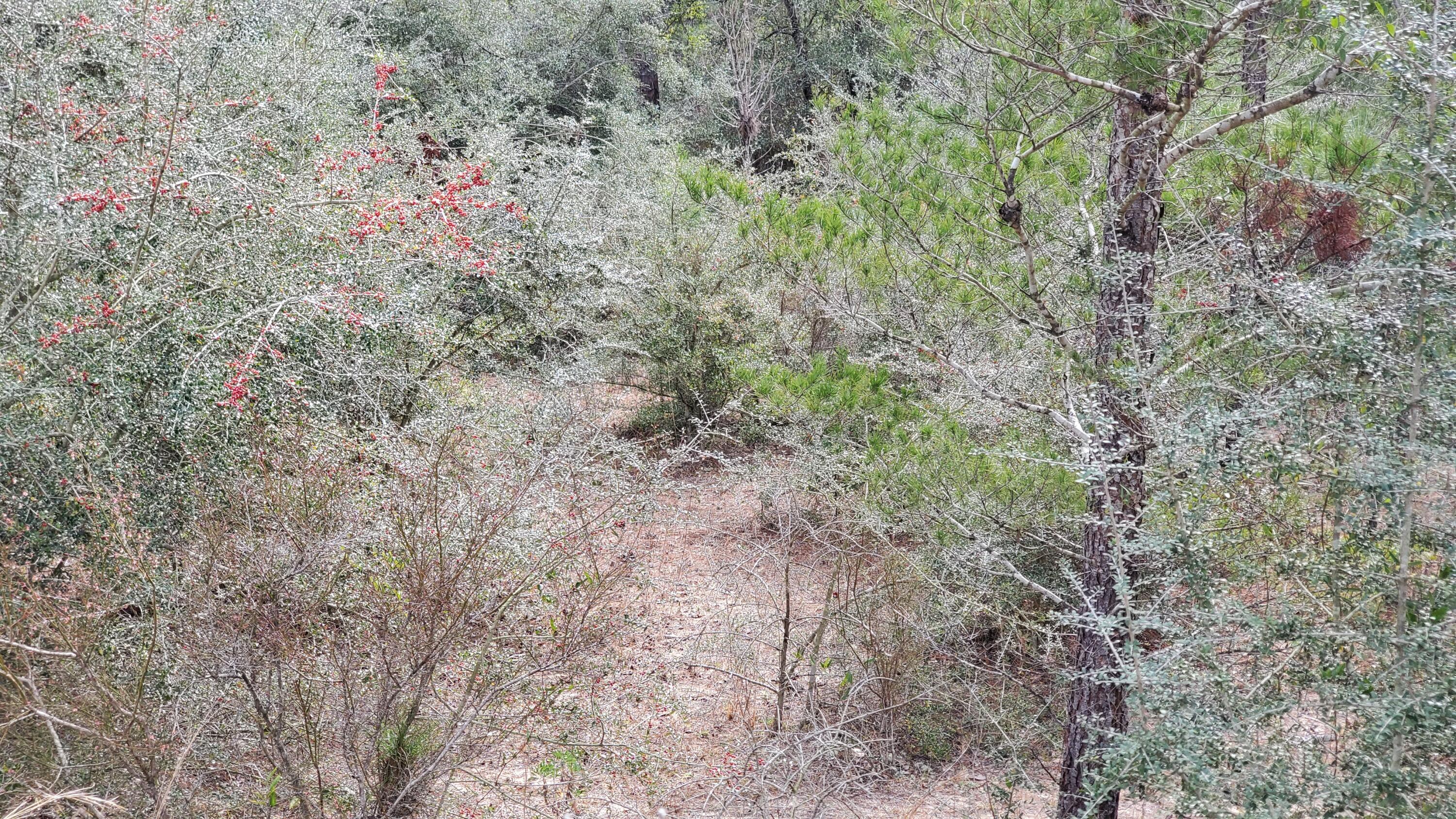 TRIPLE LAKES ESTATES - Land