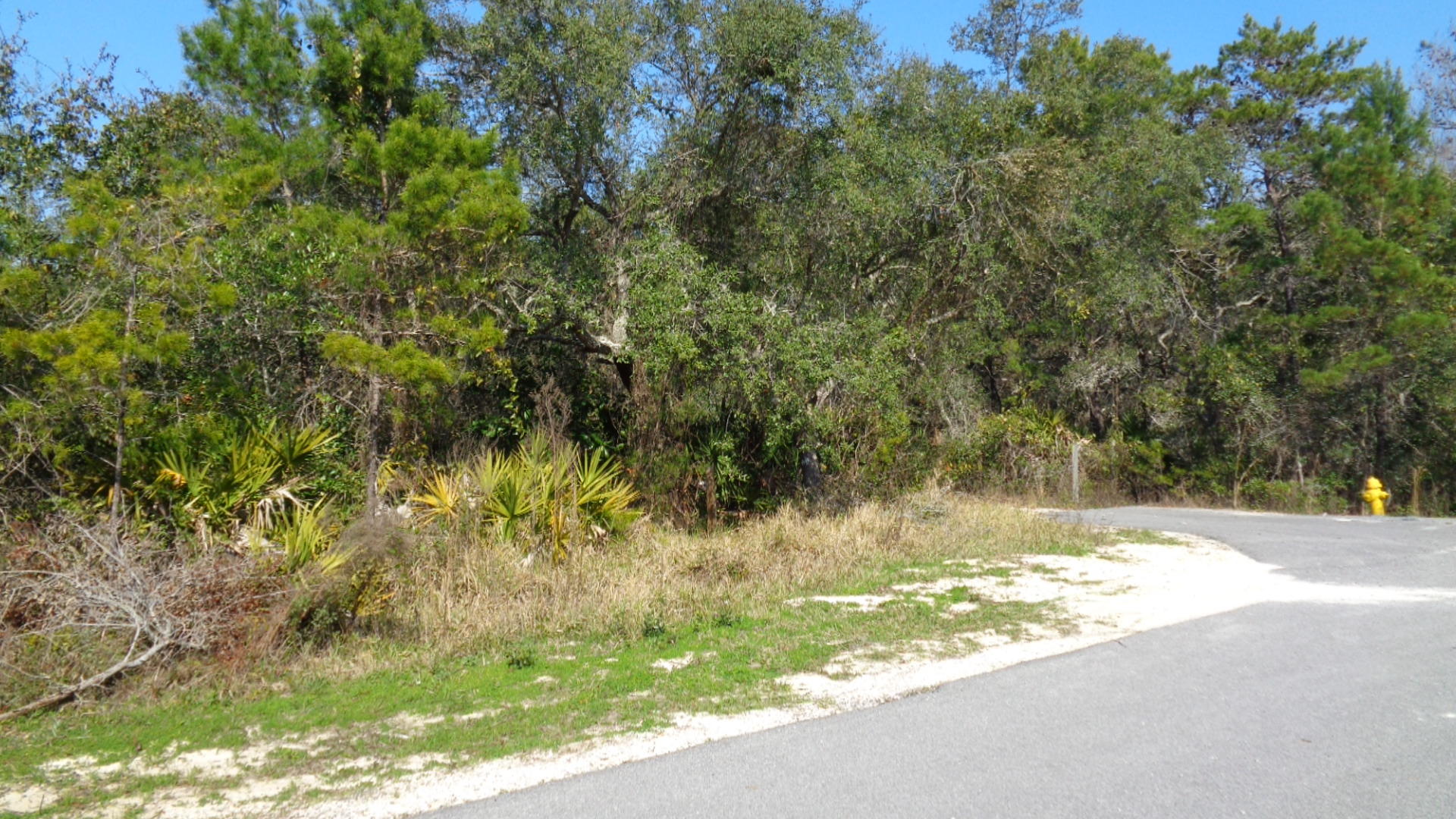 INLET BEACH - Land