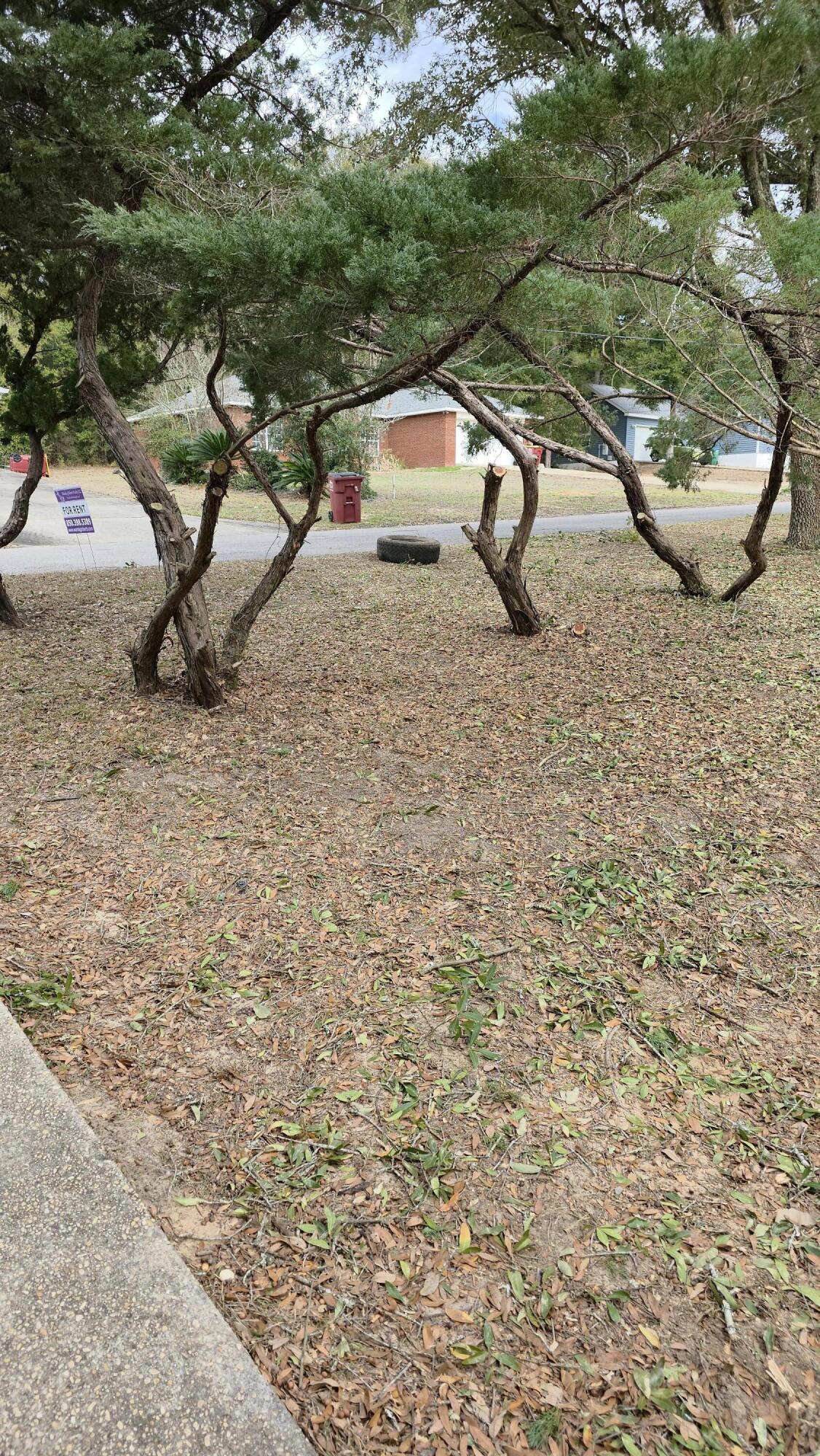 RANSOM PINES AMEND - Residential Lease