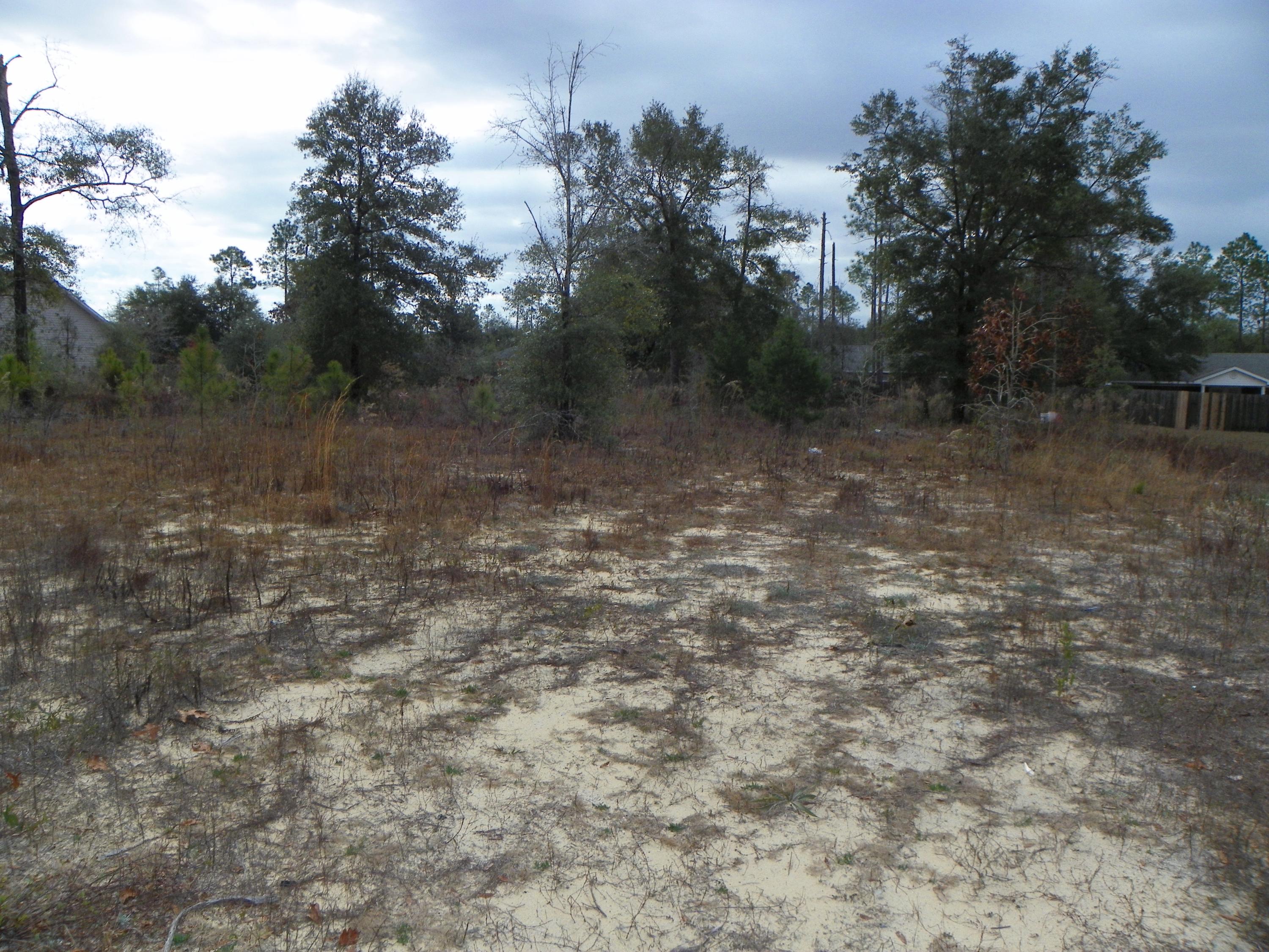 THE PINES - Land
