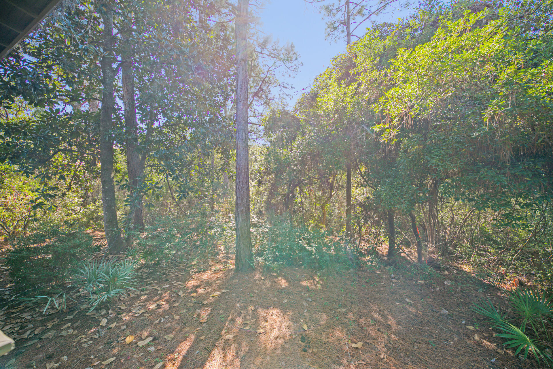 THE HAMMOCKS OF SEAGROVE - Residential