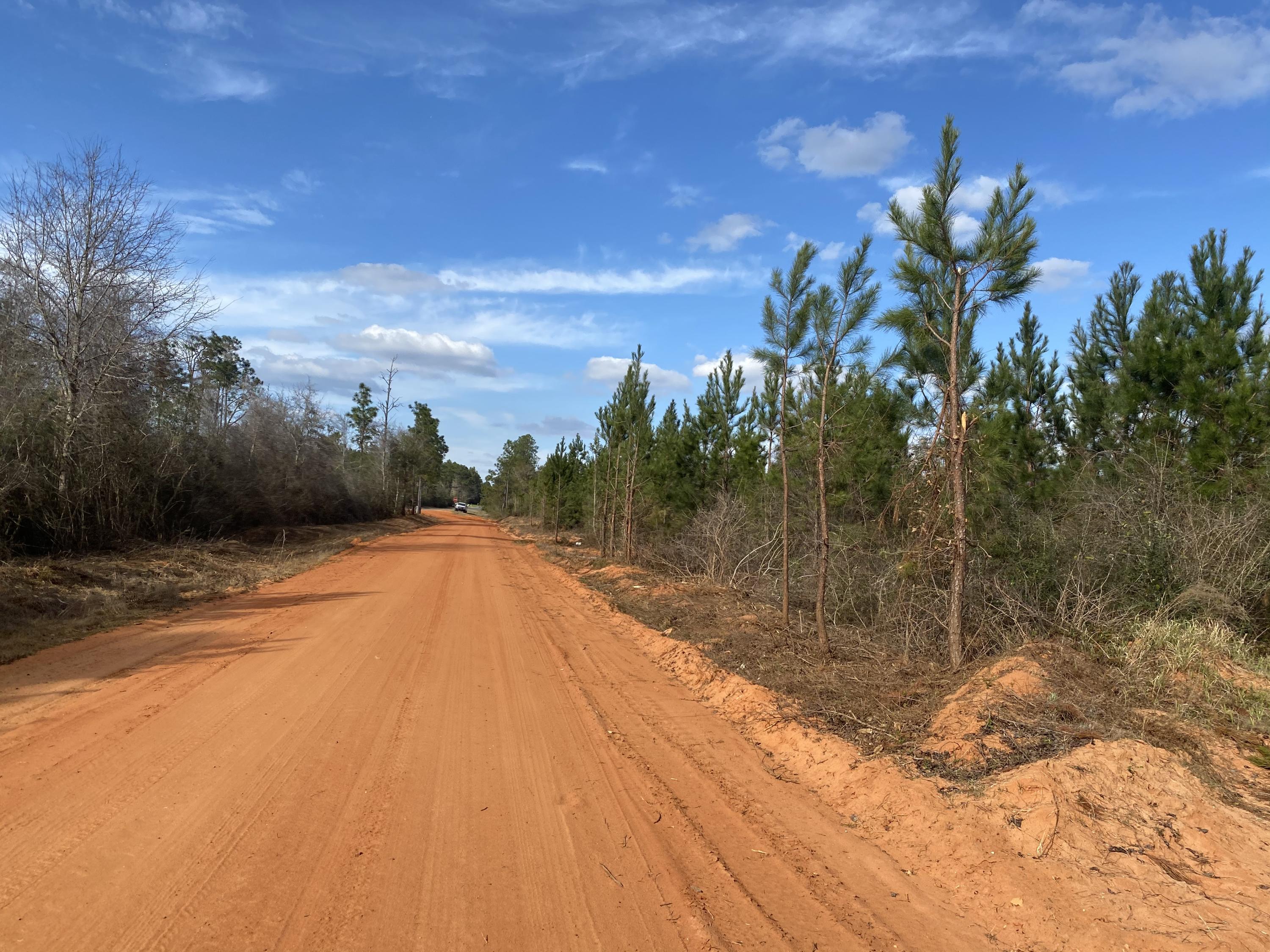 15+/- acres of nature for your hunting or your home! Beautiful timberland with highway access. 

Schools: Central for Elementary, Central High School for both Middle and High schoolers.
Access by appointment only.