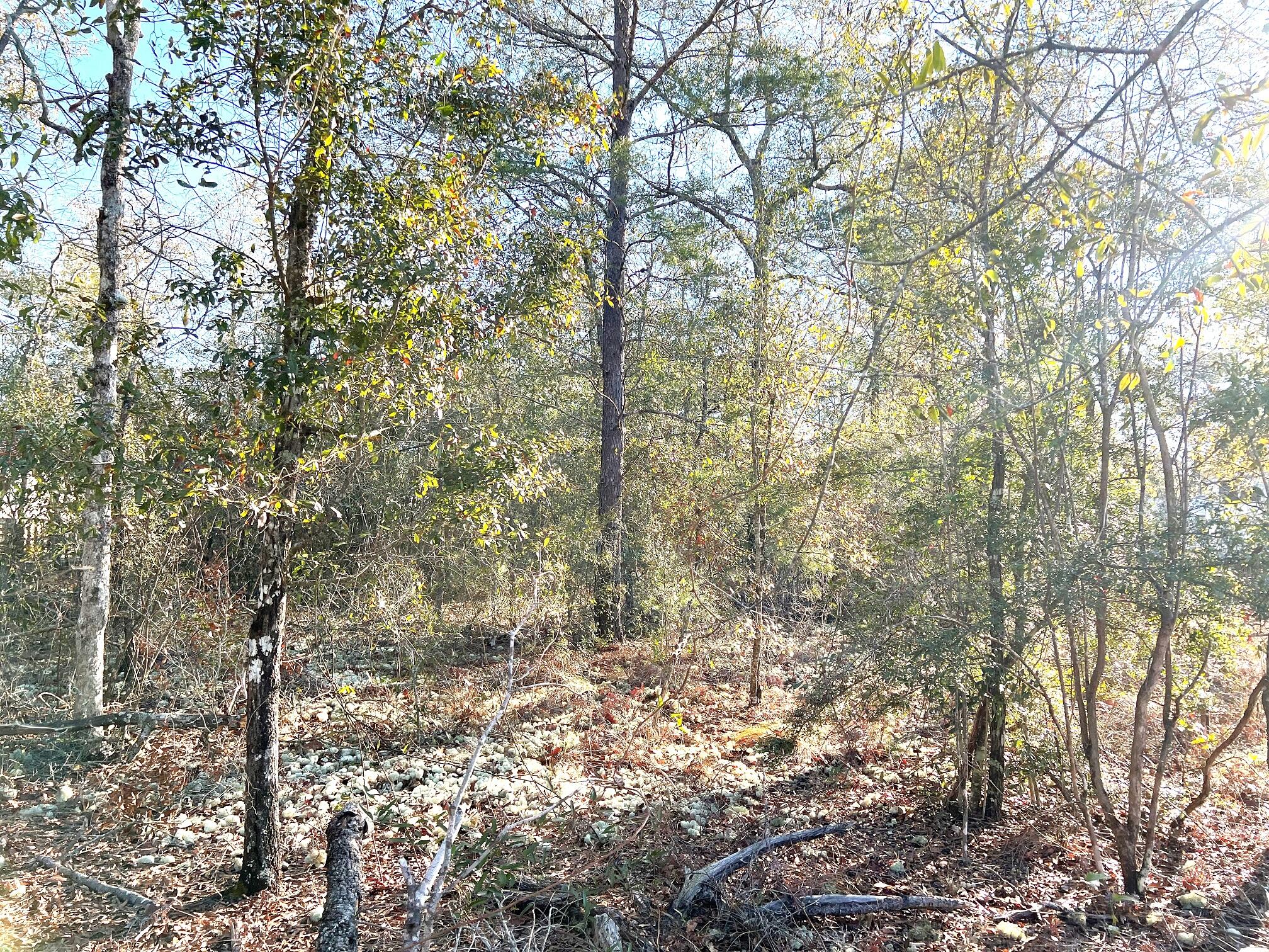 Oakwood Lakes Estates Unit 7 of Oakwood Hills - Land