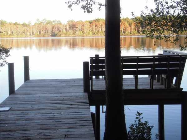 BLUE CYPRESS - Land