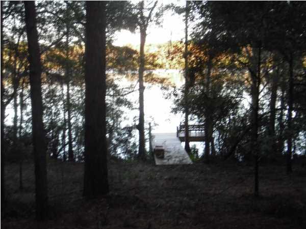 BLUE CYPRESS - Land