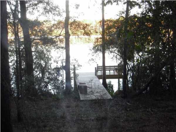 BLUE CYPRESS - Land