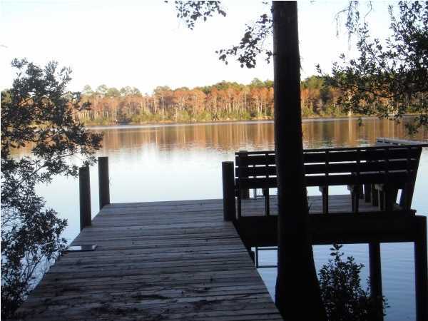 BLUE CYPRESS - Land