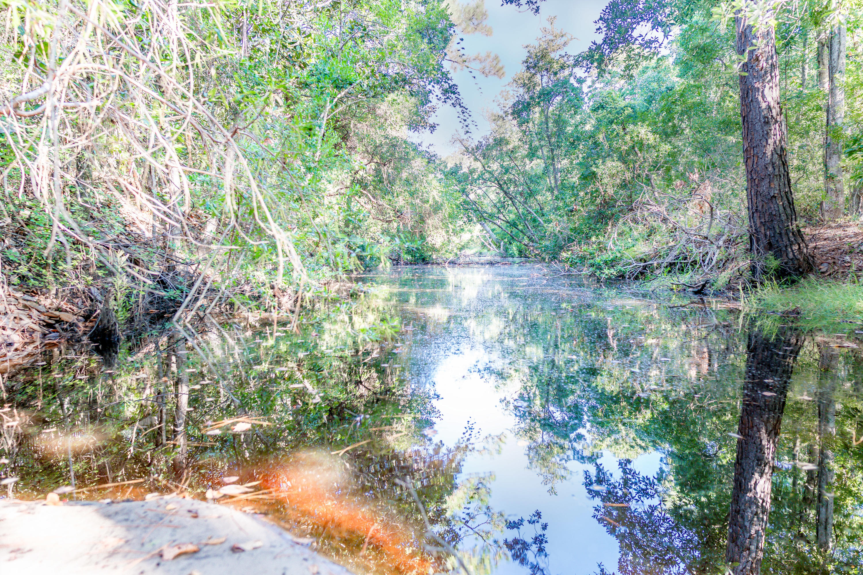 SEAGROVE SHORES 4TH ADD - Residential