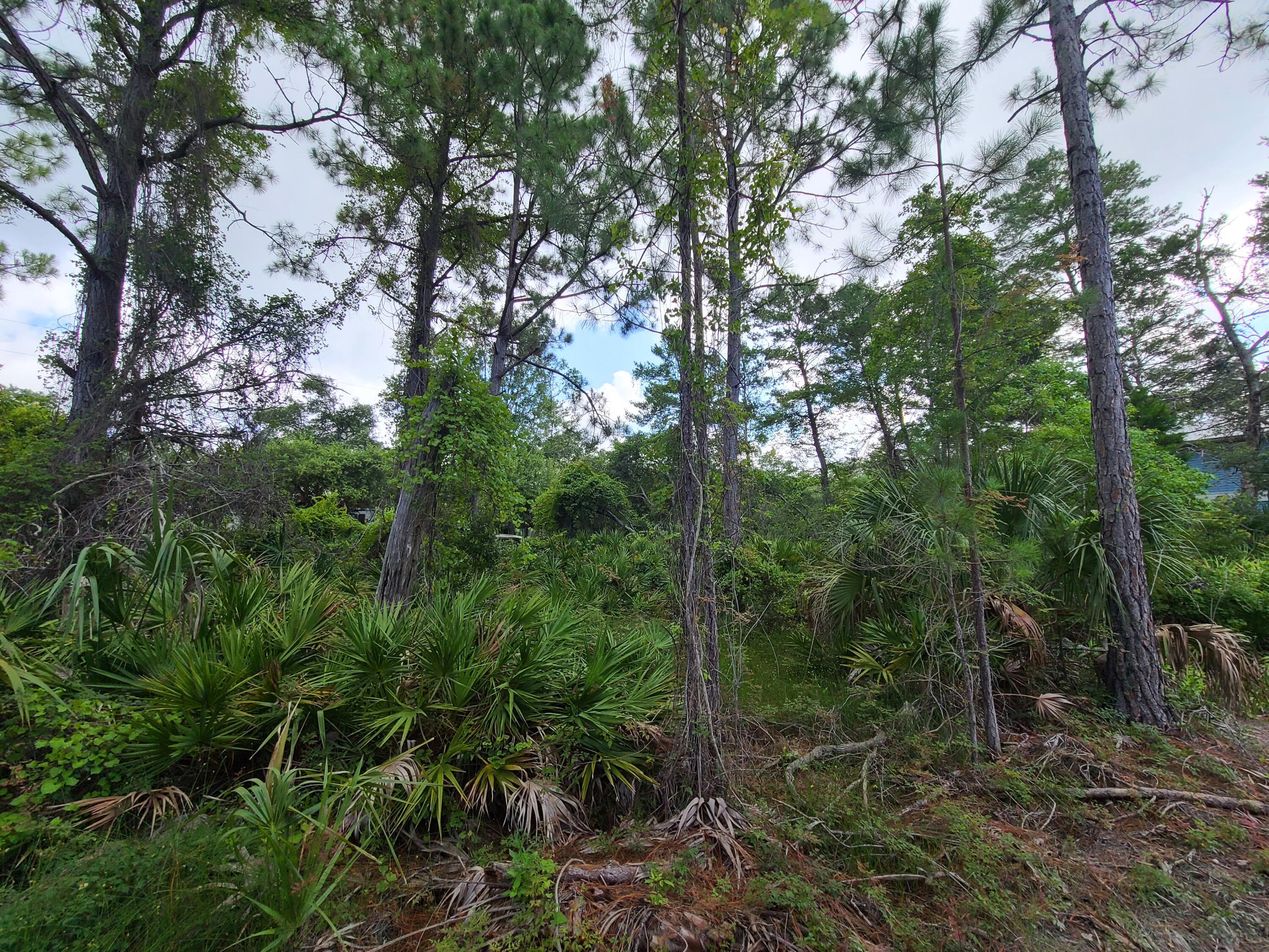 Dalton unrecorded - Land