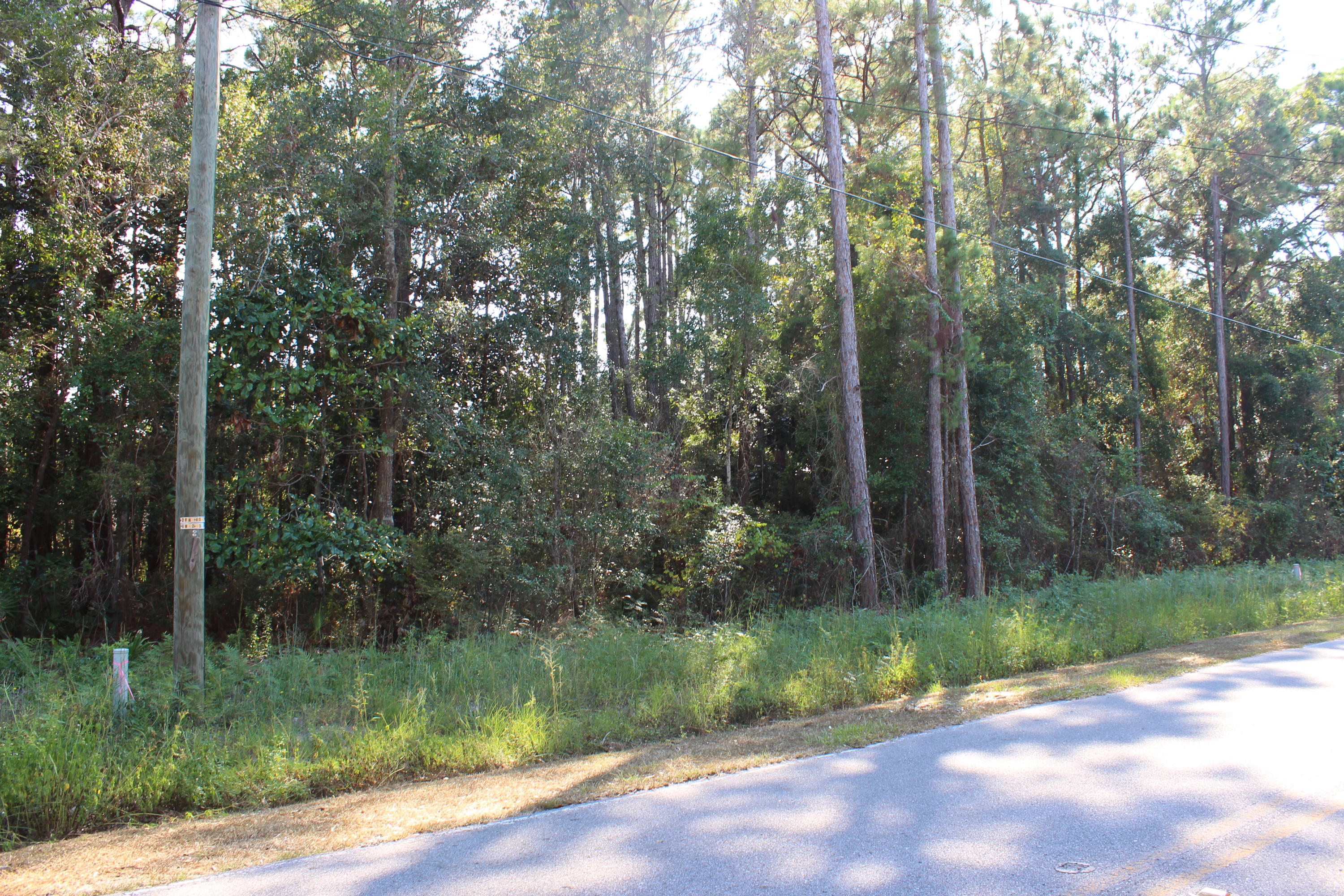 Perfect spot for your own little piece of Paradise. Beautiful neighborhood with no HOA! Prime area between Destin and Panama City. Directly across the street from the Bay. Very inviting location. Quiet, close to shopping (Grayton), fishing, boating, paddle boarding and much more. You are seriously 7 minutes from the Gulf. there are two adjoining lots that can be purchased together or as a single lot. Side by side, definitely worth taking a look at. Million dollar homes across the street. So much potential. Hookups are available through Regional Utilities. Survey has been ordered. All dimensions are approximate and should be verified by the buyer.