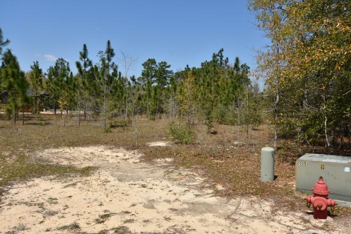 COLONY RIDGE PH I - Land