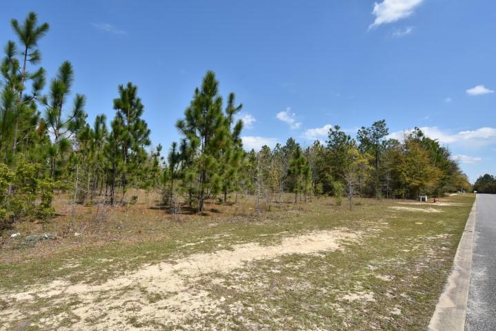 COLONY RIDGE PH I - Land