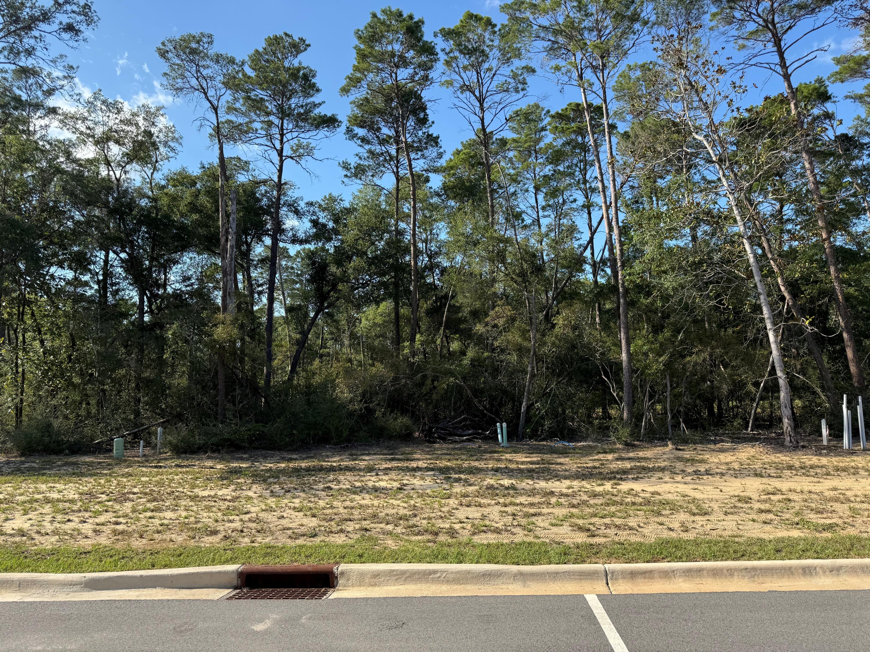 Deer Moss Creek - Land