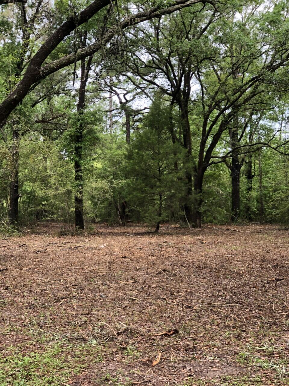 UNRECORDED SUBDIVISION - Land