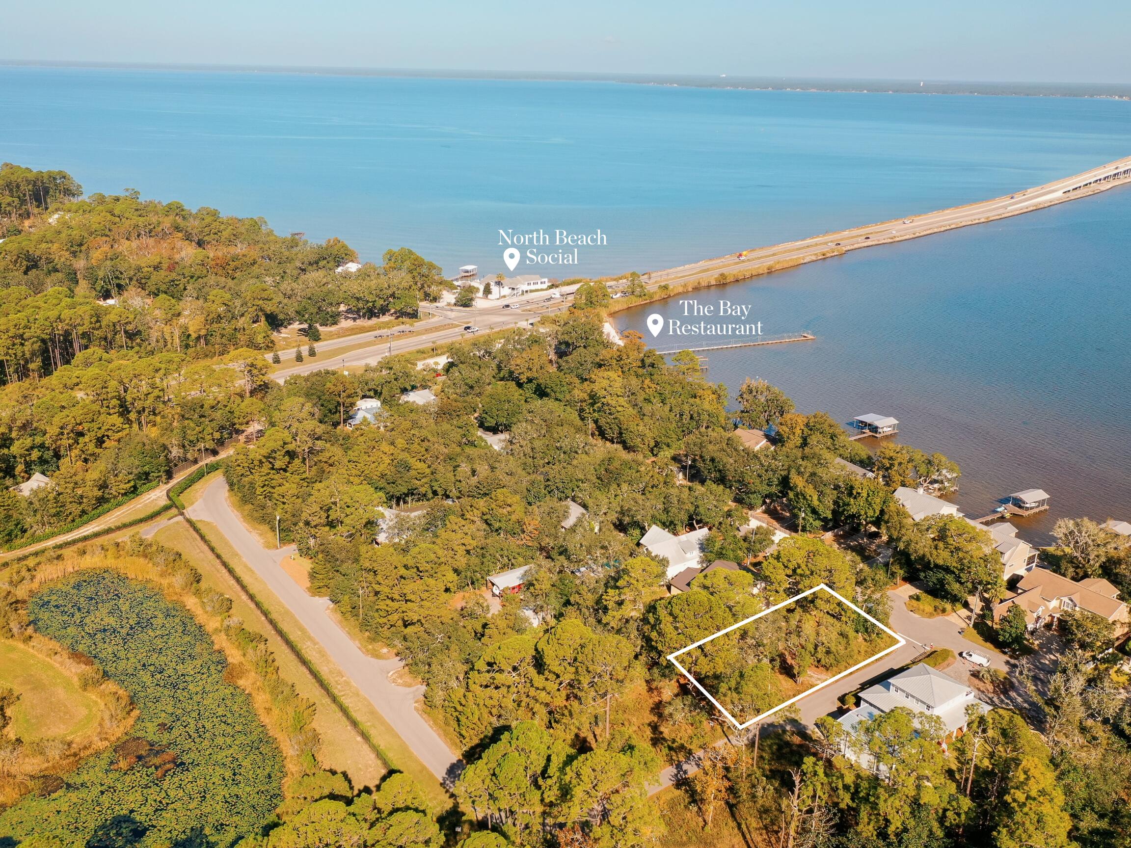 Bay Magnolia - Land