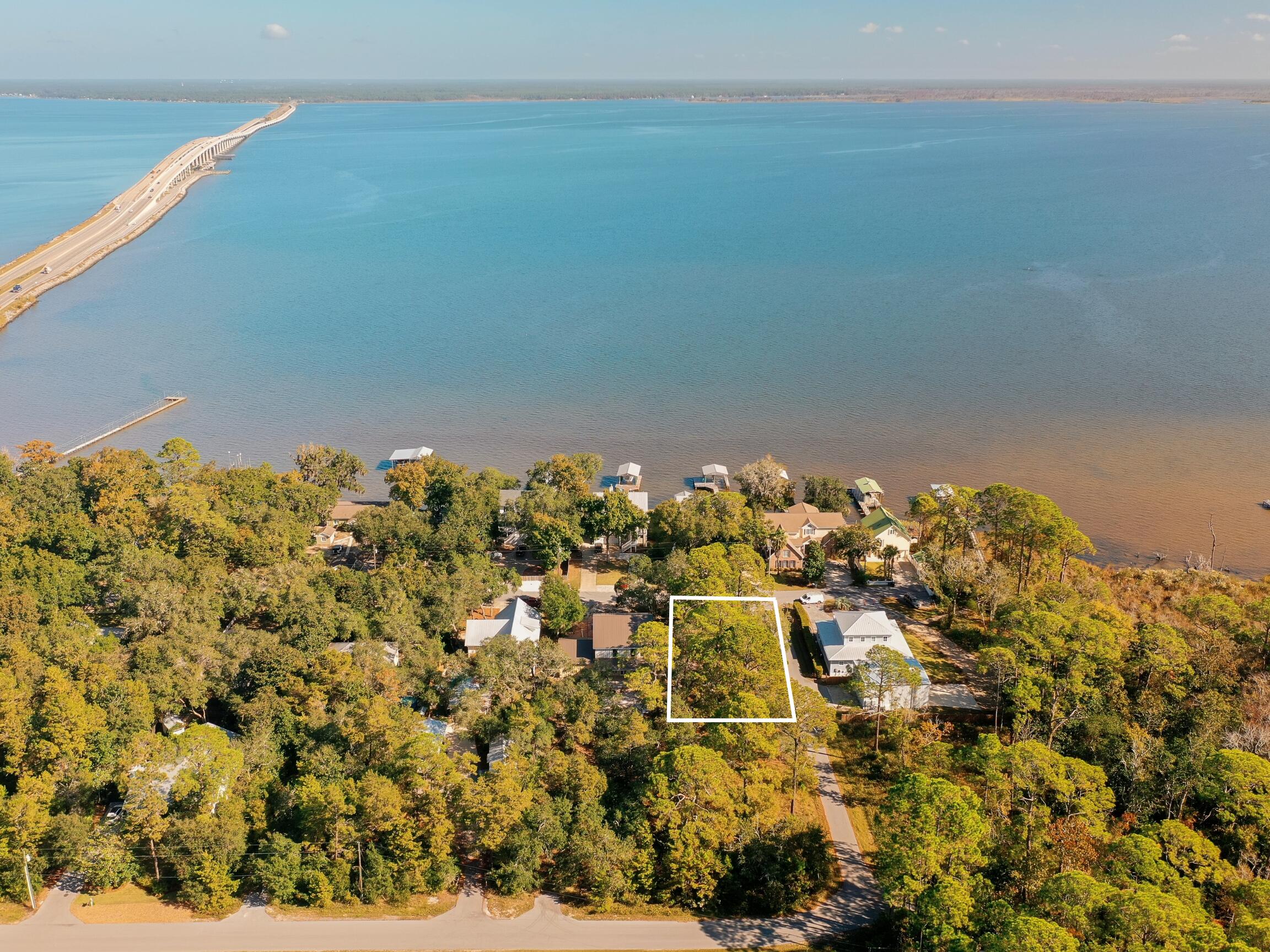 Bay Magnolia - Land