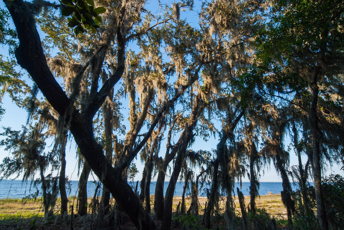 Estates at Indian Pointe - Land