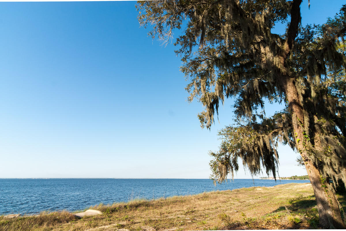 Estates at Indian Pointe - Land