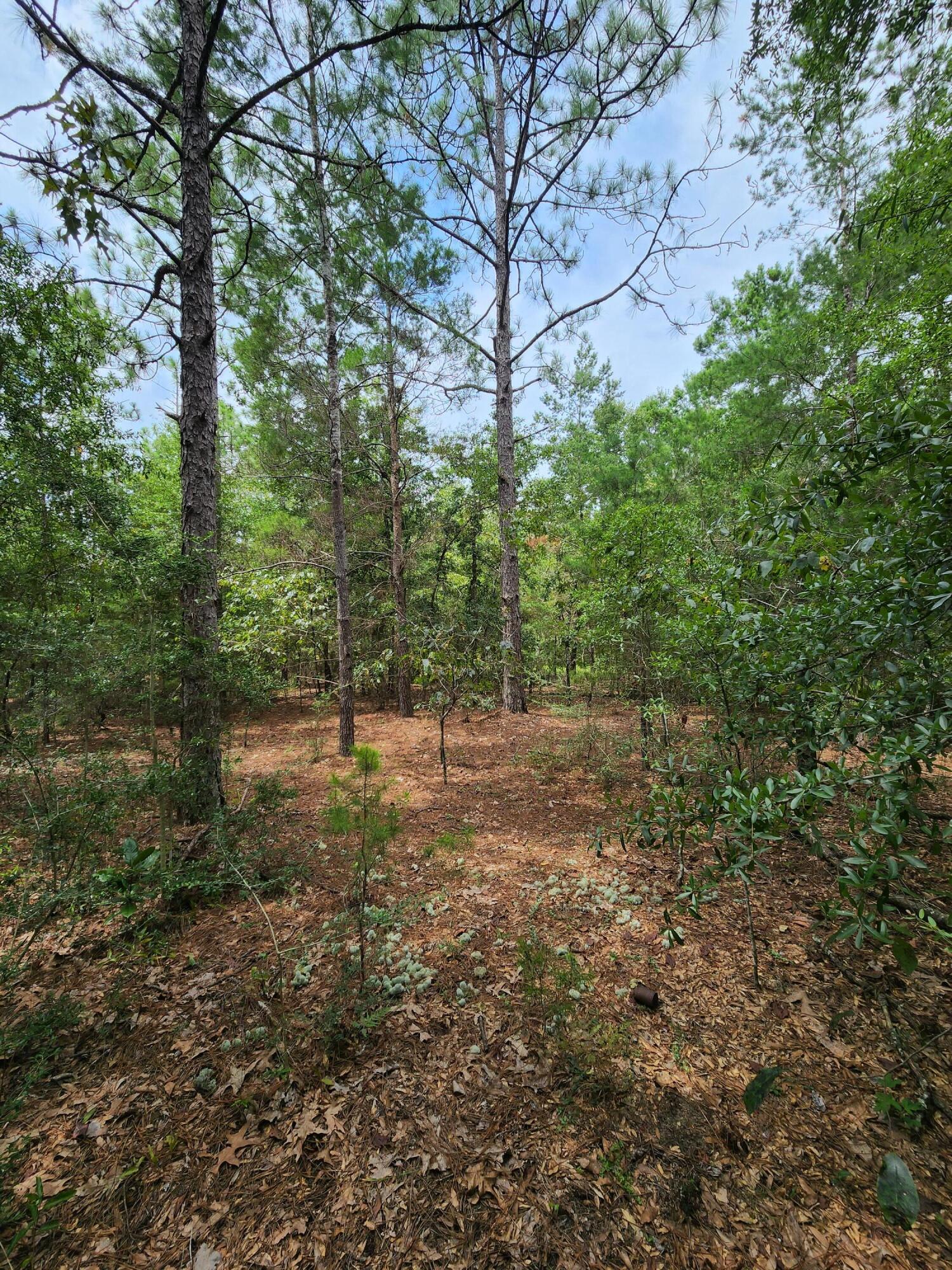 OAKWOOD HILLS UNIT 1 - Land