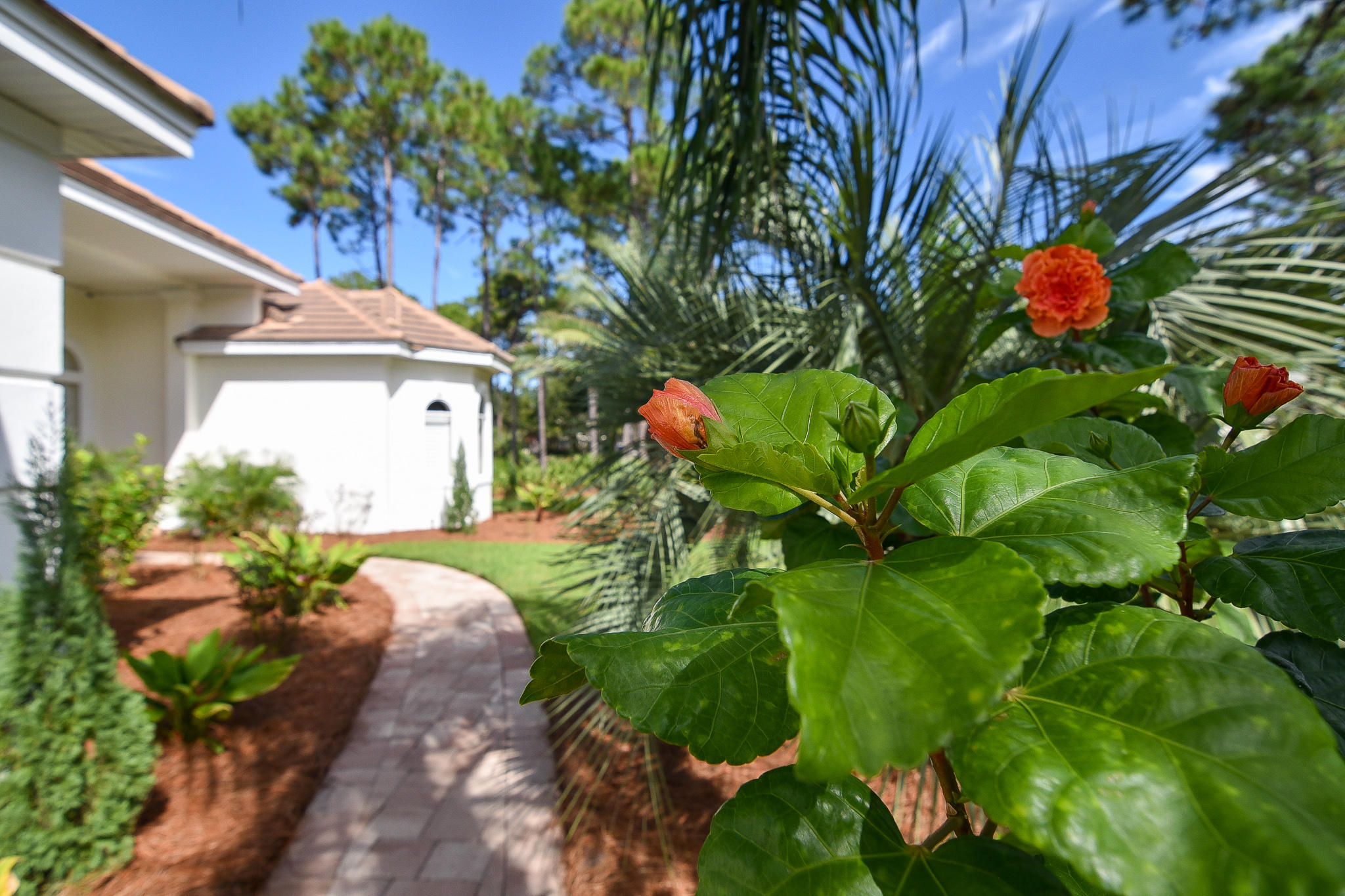 REGATTA BAY PH 3 - Residential