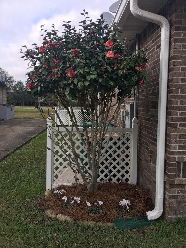 HIDDEN CREEK AT HOLLEY BY THE SEA - Residential