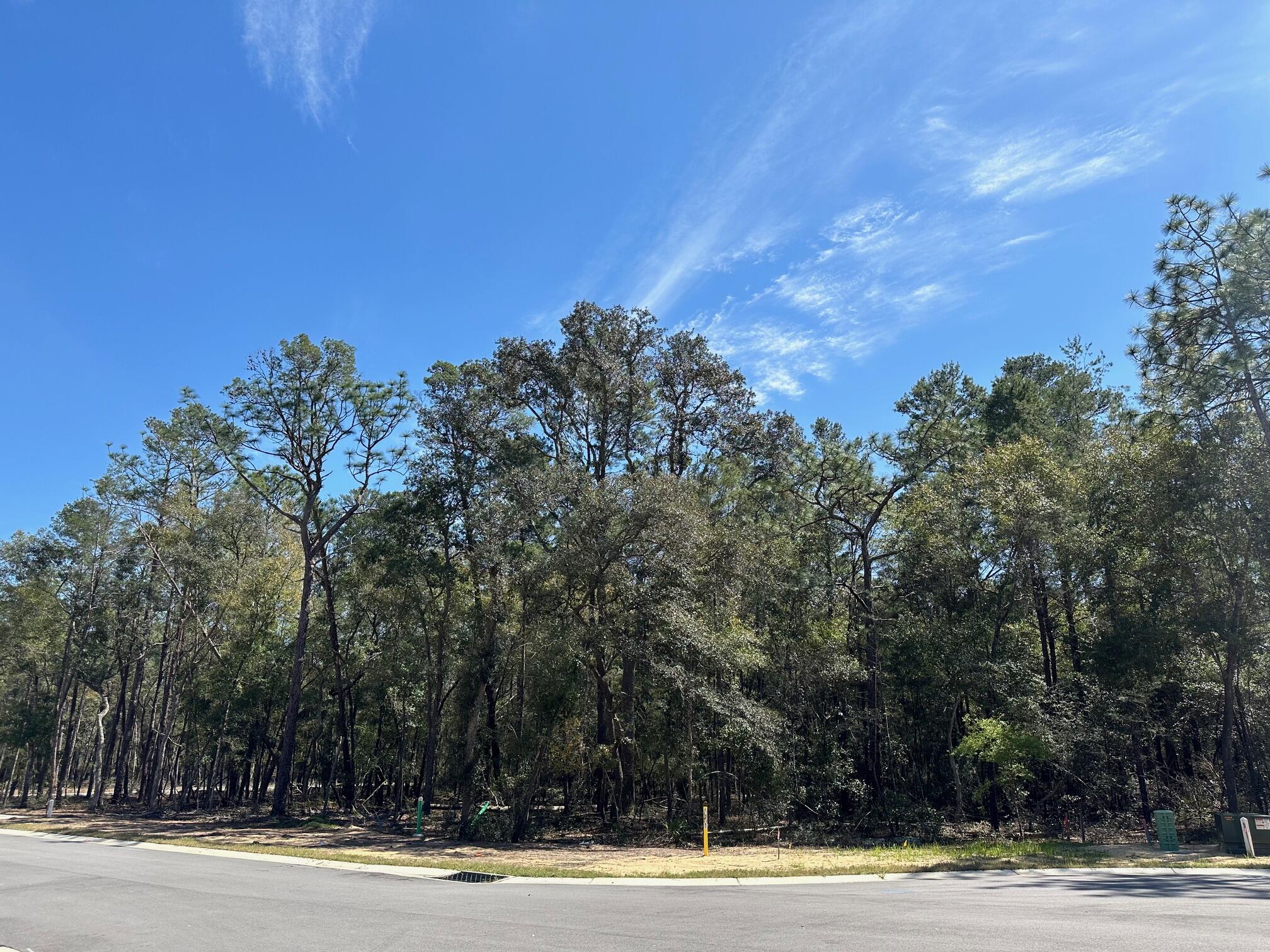 Cul-de-sac lot in desirable Deer Moss Creek®! This is one of only 12 large, flat lots developed in DMC Phase 7A. The cul-de-sac lots vary in size between 0.49 to 0.78 acres. If you're looking for an estate-sized lot (with room for a pool) in Niceville for your custom home, this is it. Deer Moss Creek® is an 1,100- acre, master-planned, mixed-use community in Niceville, FL. The east side of this lot borders a 20' natural wooded buffer.  Community plans include a nature trail, bike lanes, parks, pools, office and retail space. Sidewalks are 5' wide and home plans must be approved by the Town Architect.