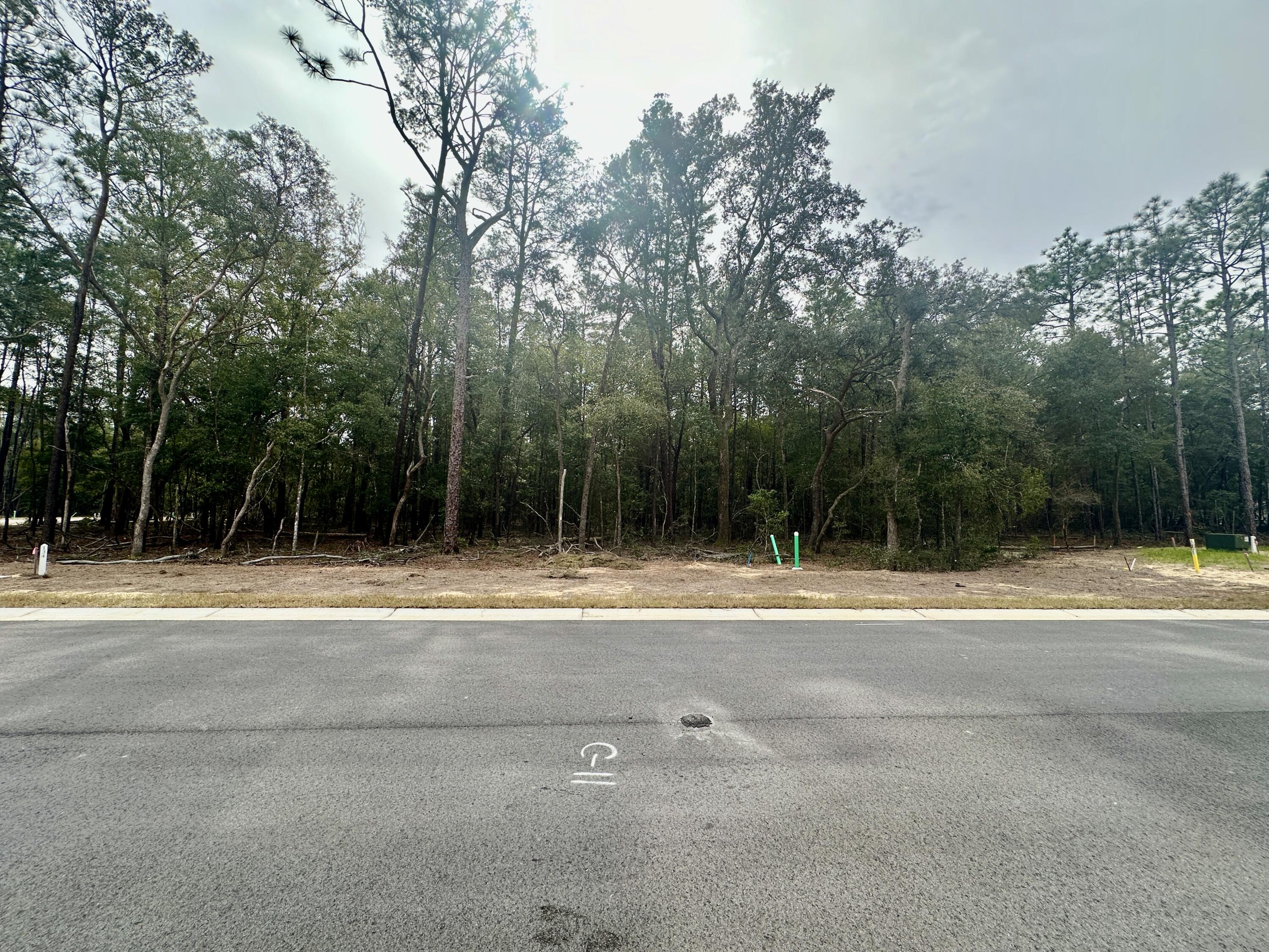 DEER MOSS CREEK - Land