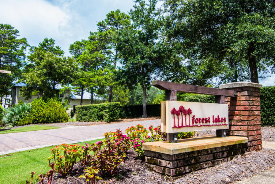 Great build-able lot in the planned community of Forest Lakes which backs up to conservation land. This community has lots of appeal with brick paver streets, beautiful green spaces, community pool, community lake, gazebo/dock, picnic and BBQ area. With only less than a mile away from the sugar white sand beaches that Florida has to offer. Plenty of options of entertainment, dining and shopping. This is the ideal location to build your dream house!