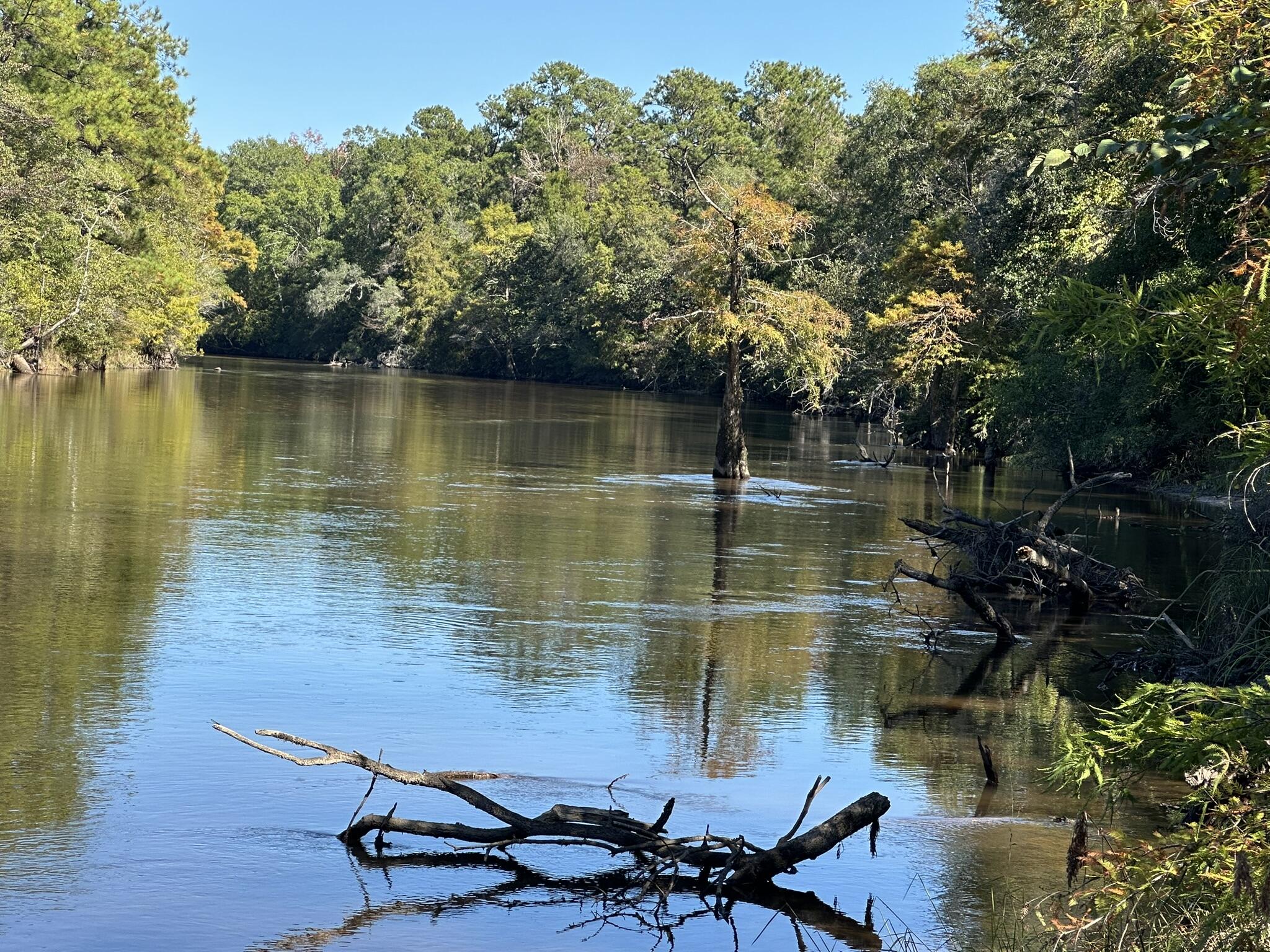 River Front, Timber, Recreation, and Almost in Town!  Shown by appointment only - do not enter property without an agent who has a confirmed appointment. Read all the details. Expansive tract of Northwest Florida land off Highway 90 in southeast Crestview. This property offers everything an outdoors enthusiast could want—room to roam, hunt, fish, and camp beneath the pines. Approximately 4,200 feet of river frontage provide natural beauty and year-round water access, while a mix of hardwoods and mature timber create an inviting landscape for wildlife. Secluded and private yet within easy reach of Crestview, I-10, and the beaches of the Emerald Coast, this property captures the best of Northwest Florida's natural setting and open-land potential. NO Power, No Water, Easemennt dirt trail for access with a Cross Easement to the Southern Parcel to Haiseal,No known legal easement south of the Train trestle. There is a trail that can be accessed under the Train Trestle to the southern land tractapproximately 1.88 miles from Hwy 90 on a dirt trail to the Subject Parcel.