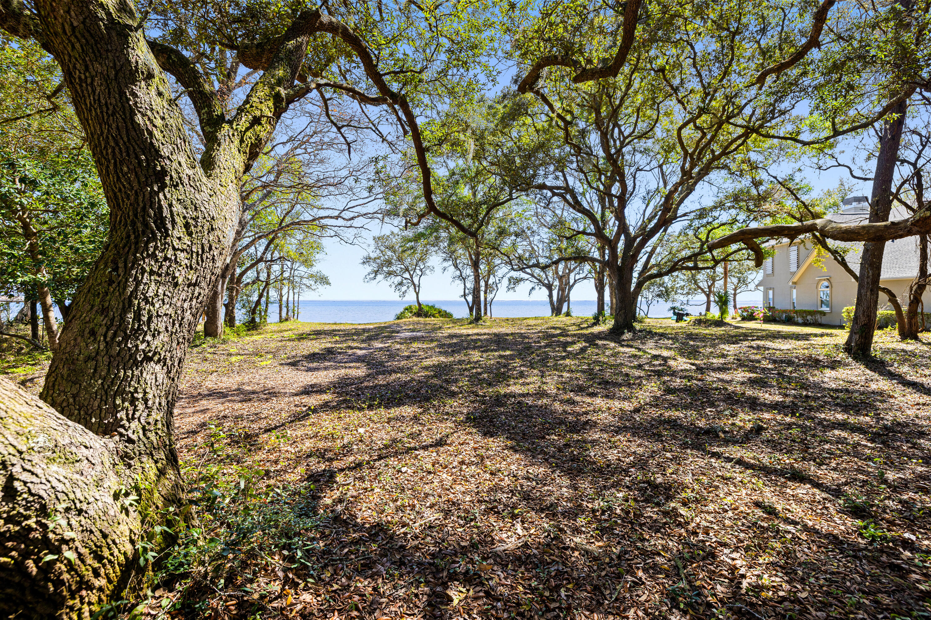 CEDAR BEACH - Land
