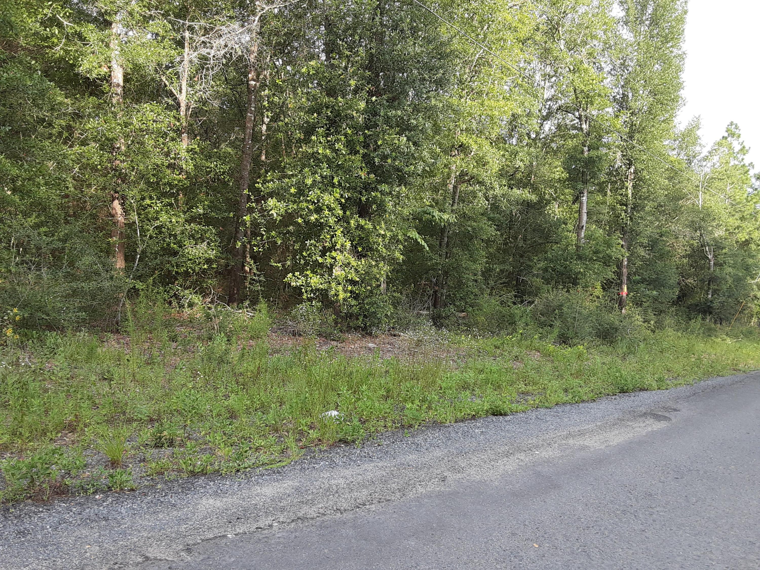 Lot to build your new home on. Mobile homes are allowed. Level and close to town.