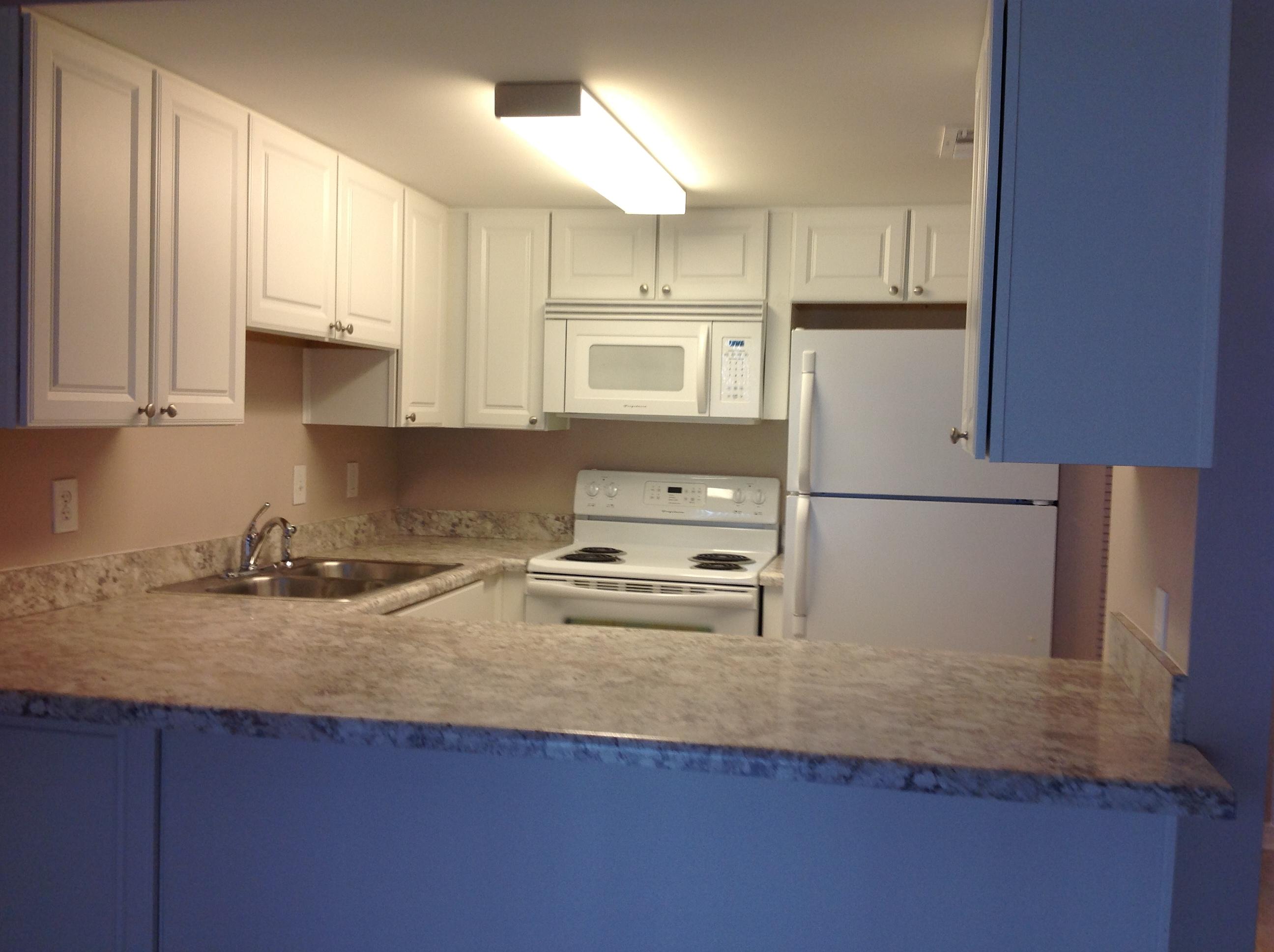 FINISTERRA CONDO - Residential Lease
