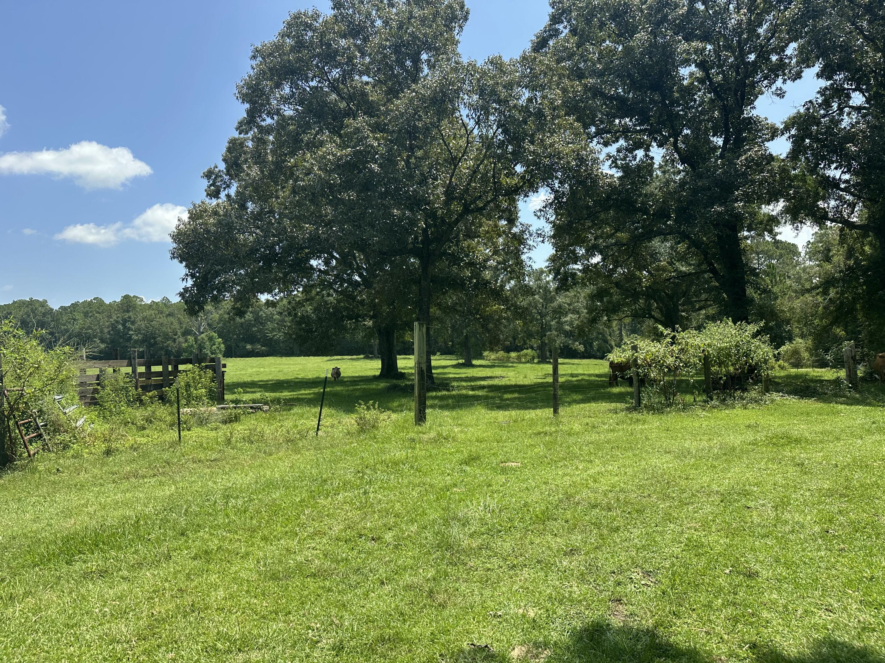 DO NOT enter the property without a scheduled appointment AND the listing agent!!! 
Tucked away yet easily accessible, this Milton parcel offers a quiet lifestyle without sacrificing convenience. Paved road frontage and natural surroundings make it a versatile choice for a future homesite or recreational getaway. Seller financing may be considered with the right terms. Buyer to verify zoning, acreage, and all information during due diligence. Contracts to be contingent on Santa Rosa County lot split approval