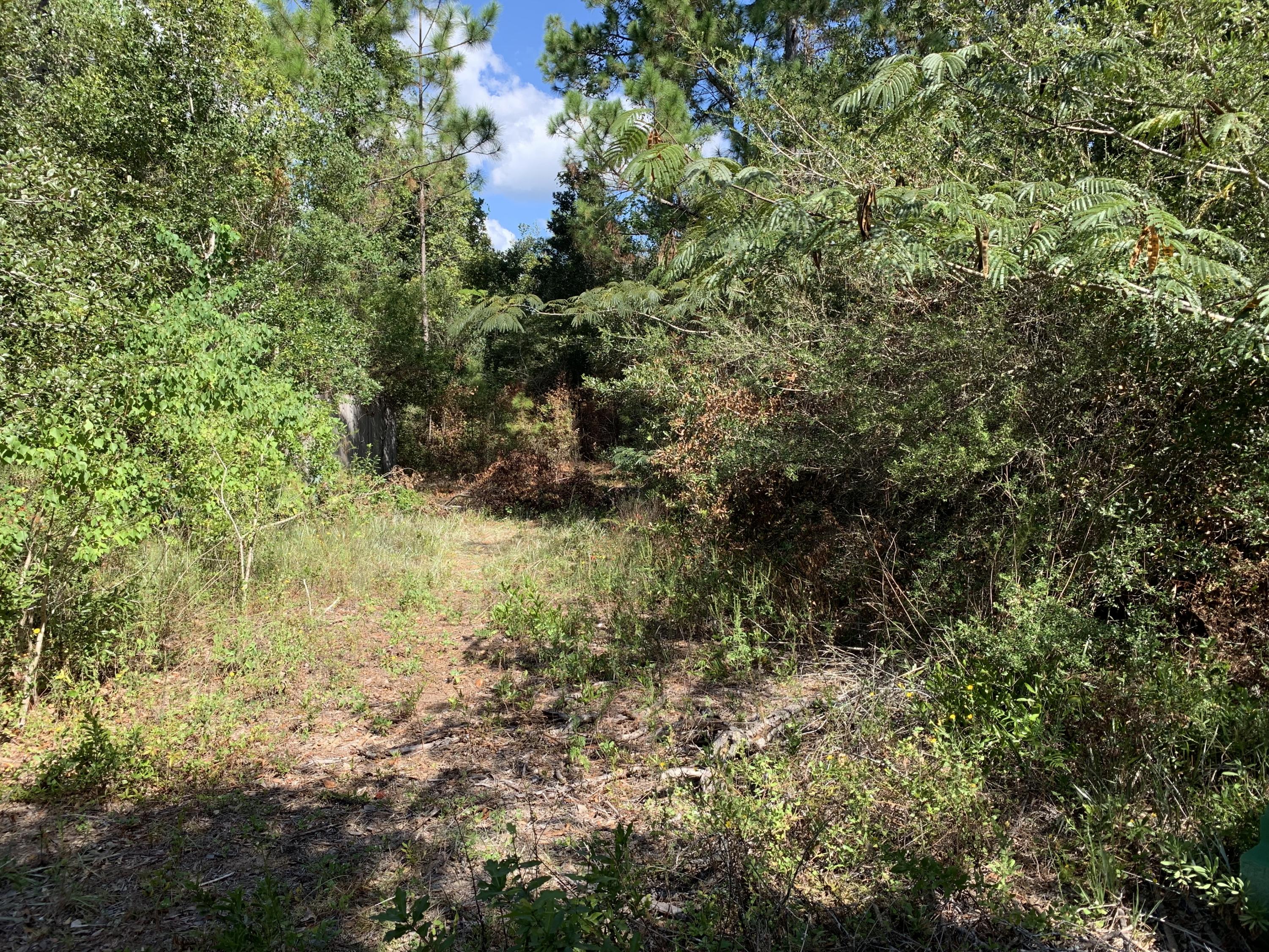 Privacy, Privacy and more Privacy! Totally secluded .22 acres that offer peace, quiet and tranquility! I understand that if land is cleared, there is access and view of the water; Buyer would need to verify; This land is at the very end of the road on Galleon; No covenants or restrictions on this piece of land in this area. Come today and enjoy and experience your piece of privacy where you have limited neighbors!