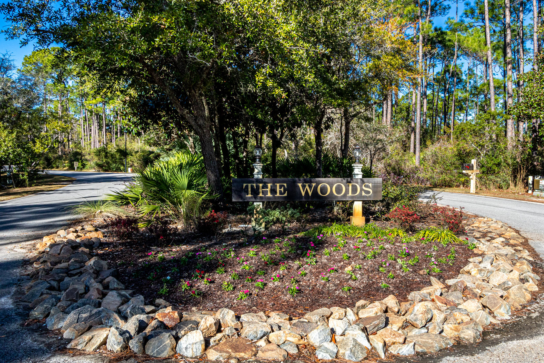 THE WOODS - Land