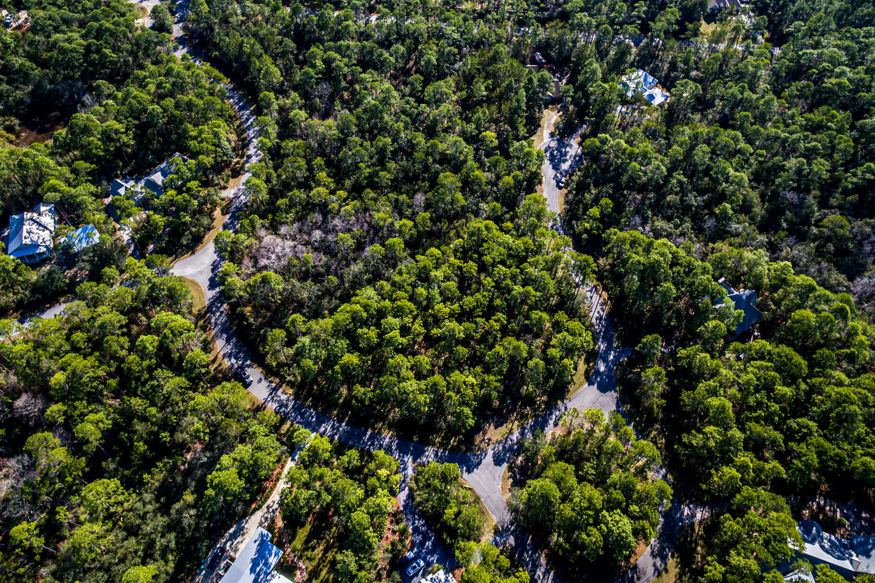THE WOODS - Land
