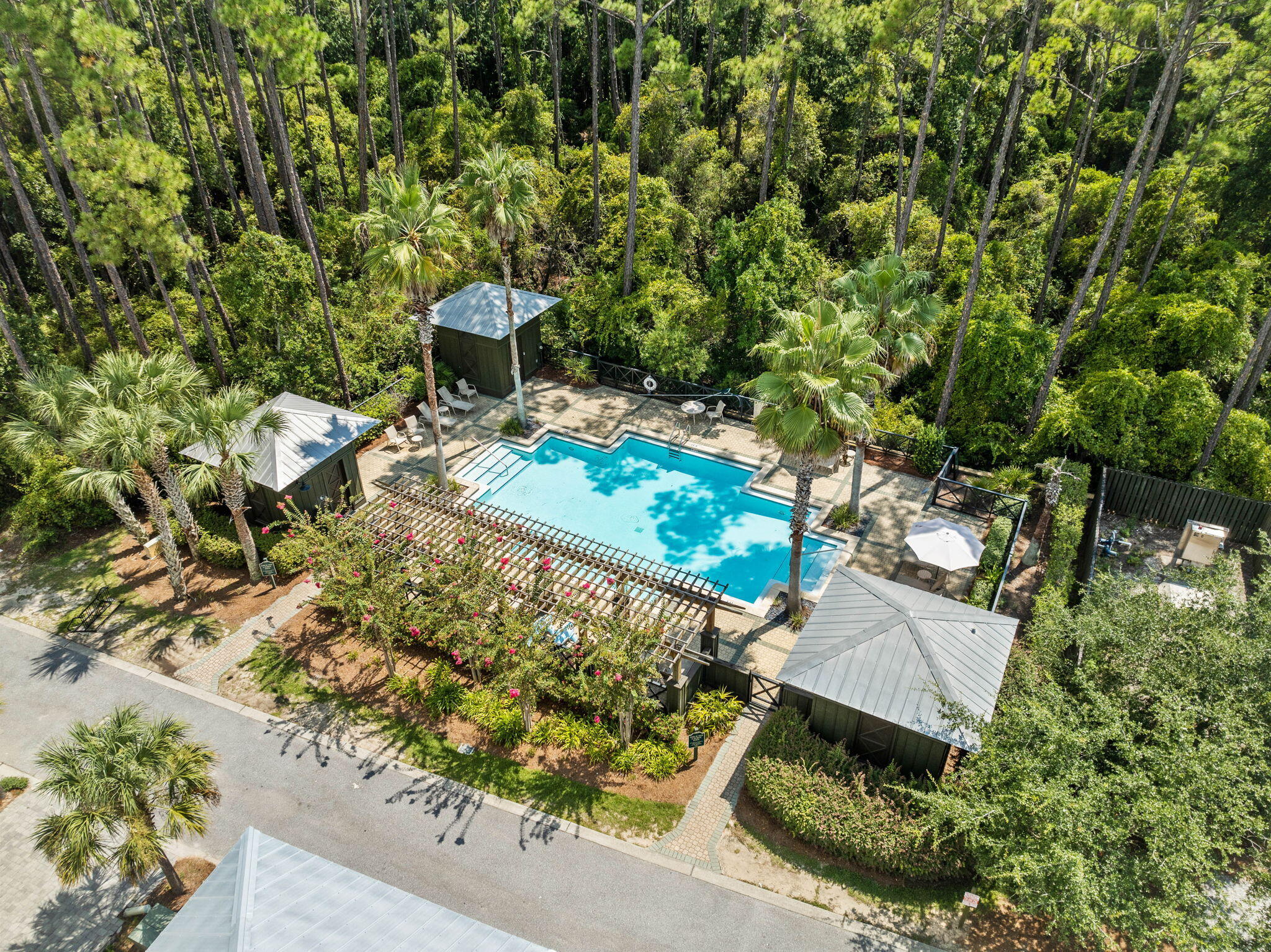 TREETOP - Residential