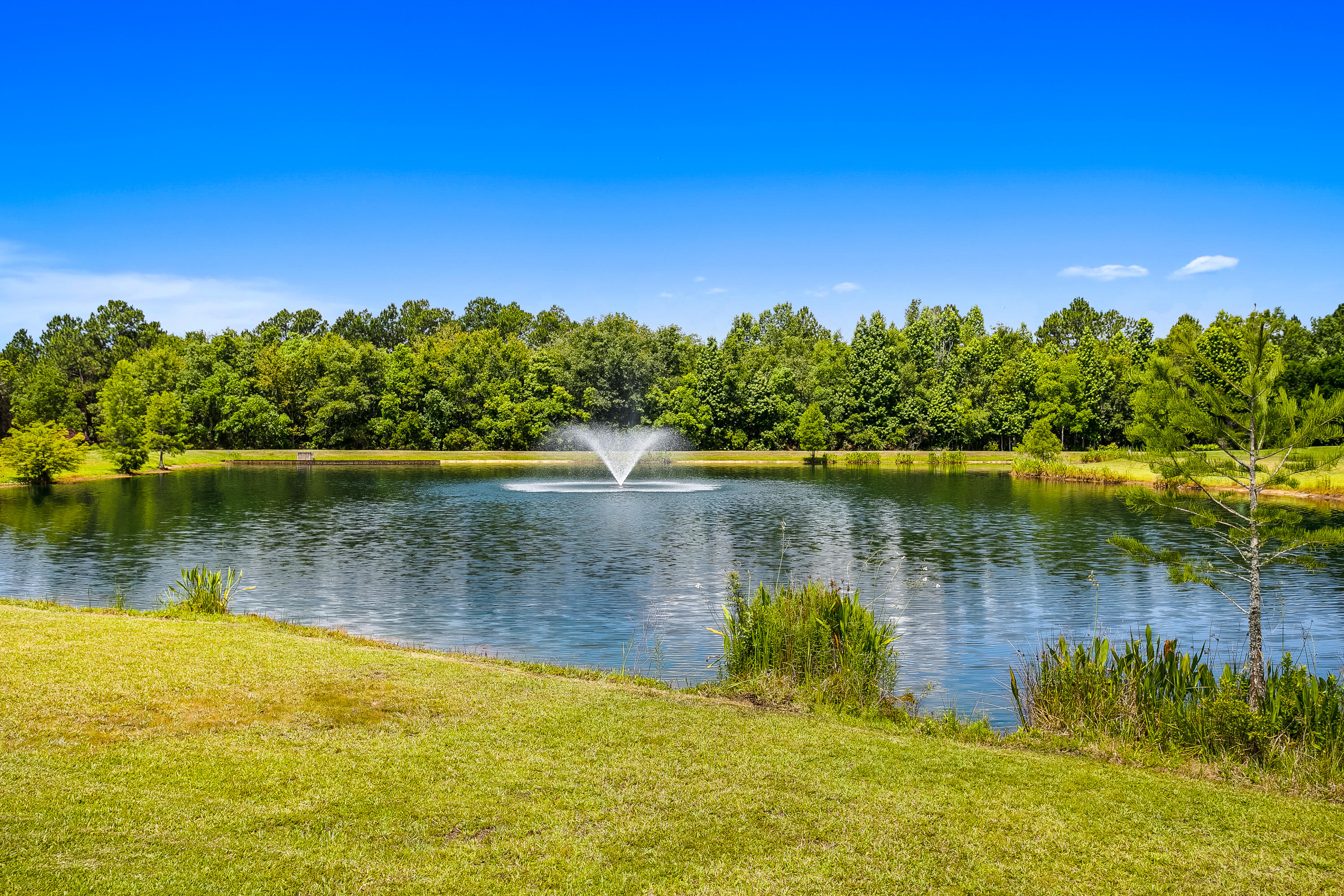 The Moors Golf and Racquet Club - Land